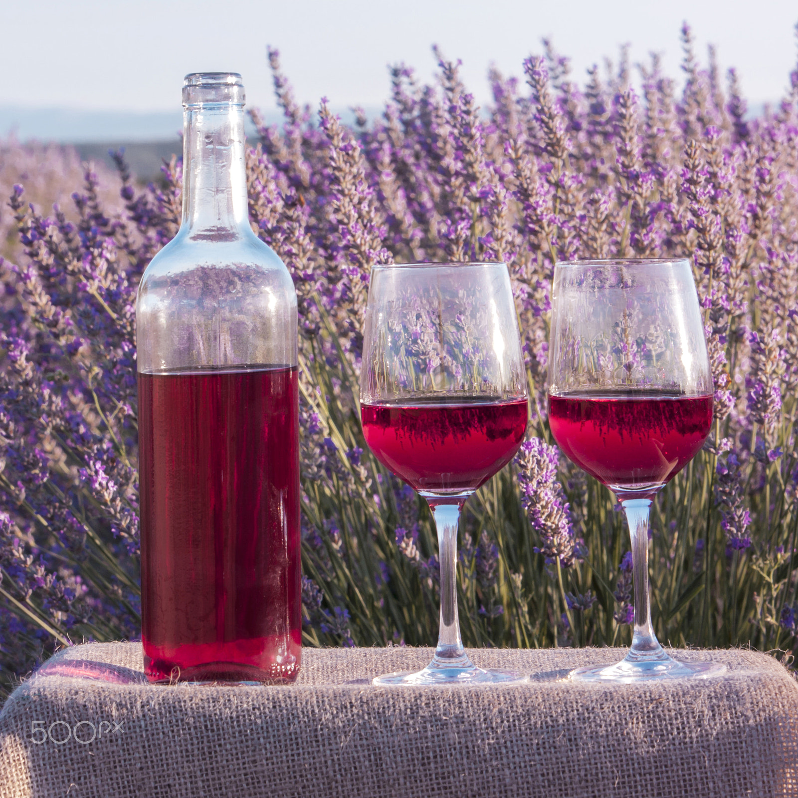 Canon EOS 450D (EOS Rebel XSi / EOS Kiss X2) sample photo. Rose wine glasses and bottle in lavender field photography