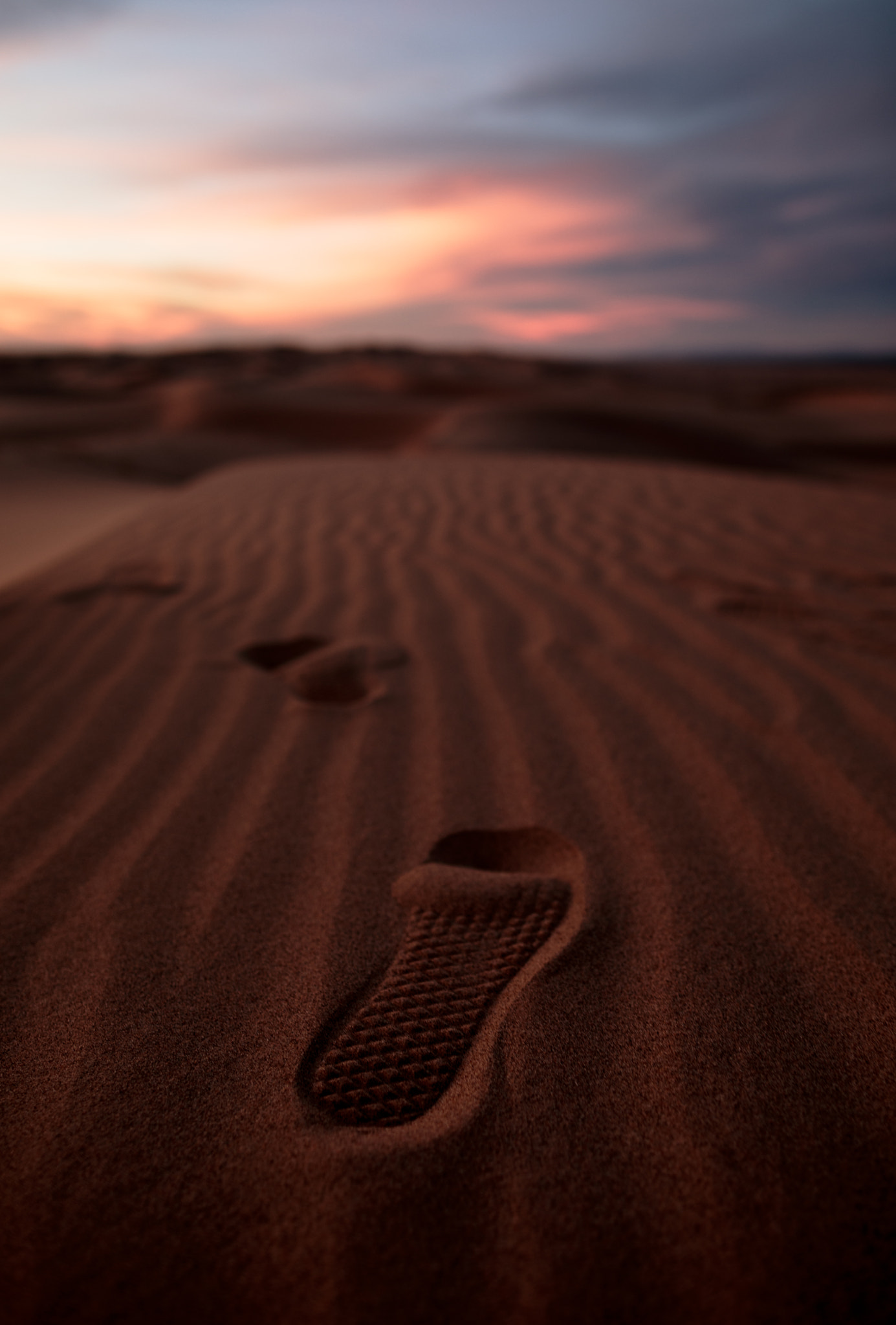 Canon EF 24mm F1.4L II USM sample photo. Vans photography