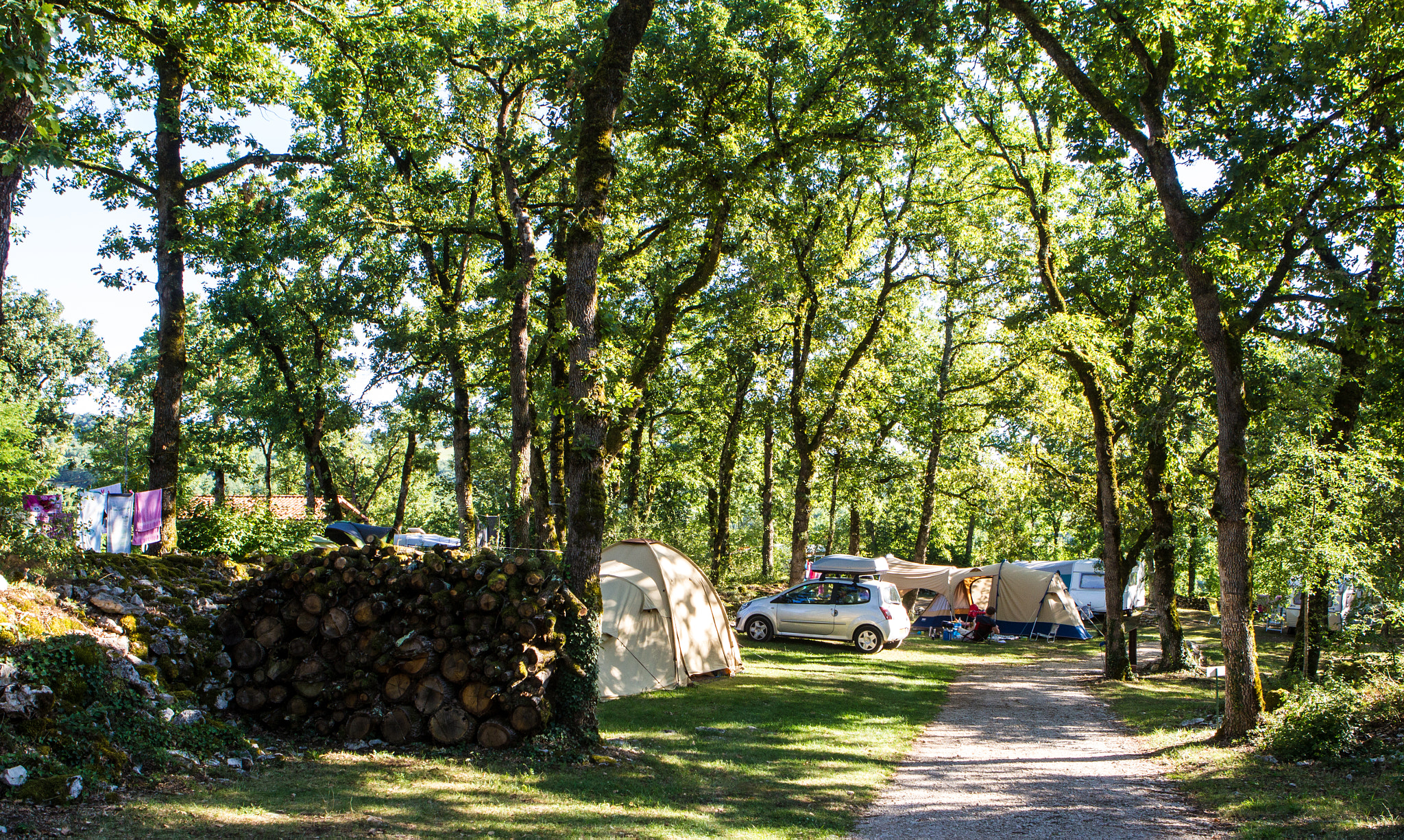 Canon EOS-1D Mark IV sample photo. Camping life scene photography