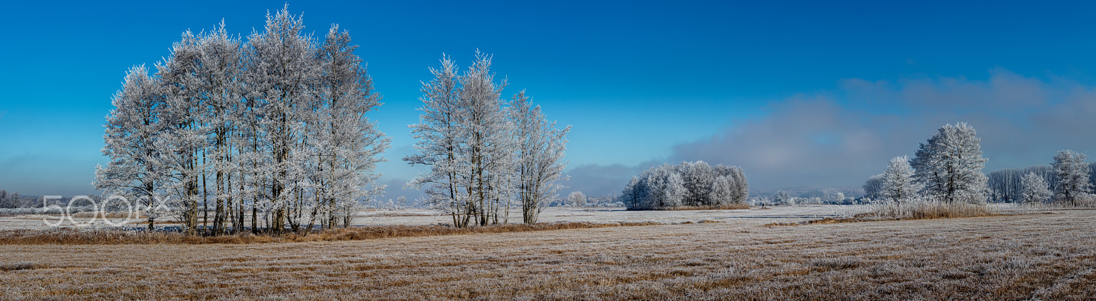 Canon EF 70-200mm F4L IS USM sample photo. Winterscape photography