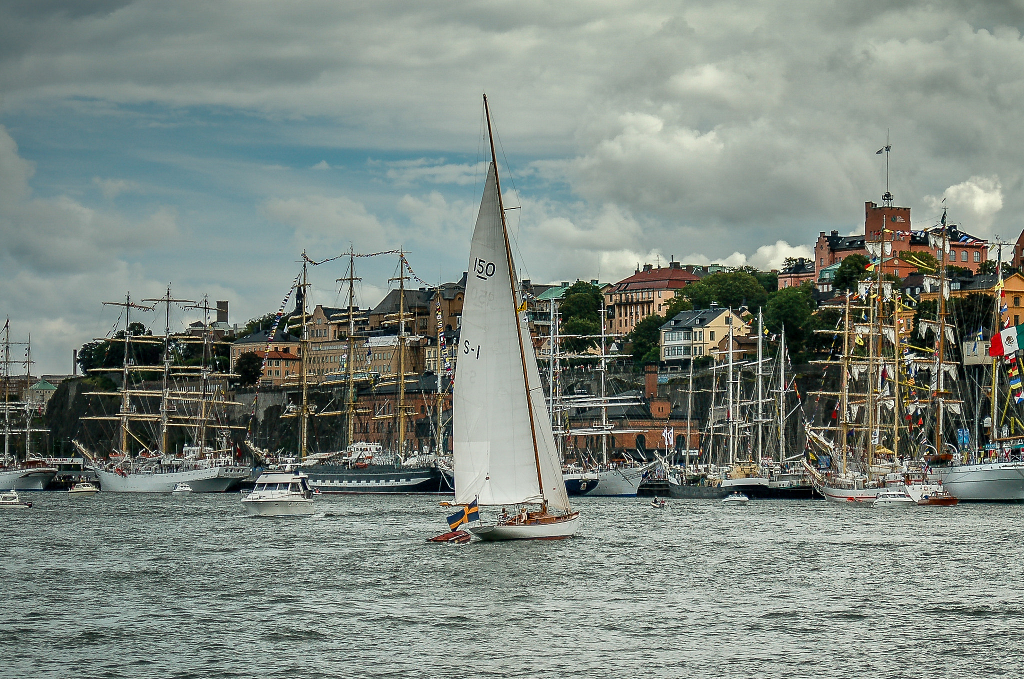 Nikon D50 sample photo. Tall ship race, 2007 photography