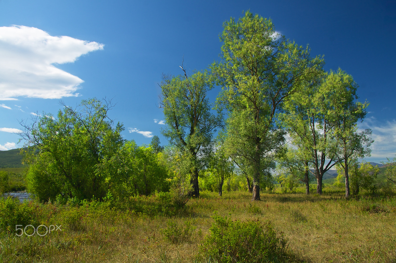 Sony Alpha DSLR-A580 sample photo. Bystrinsky national park photography