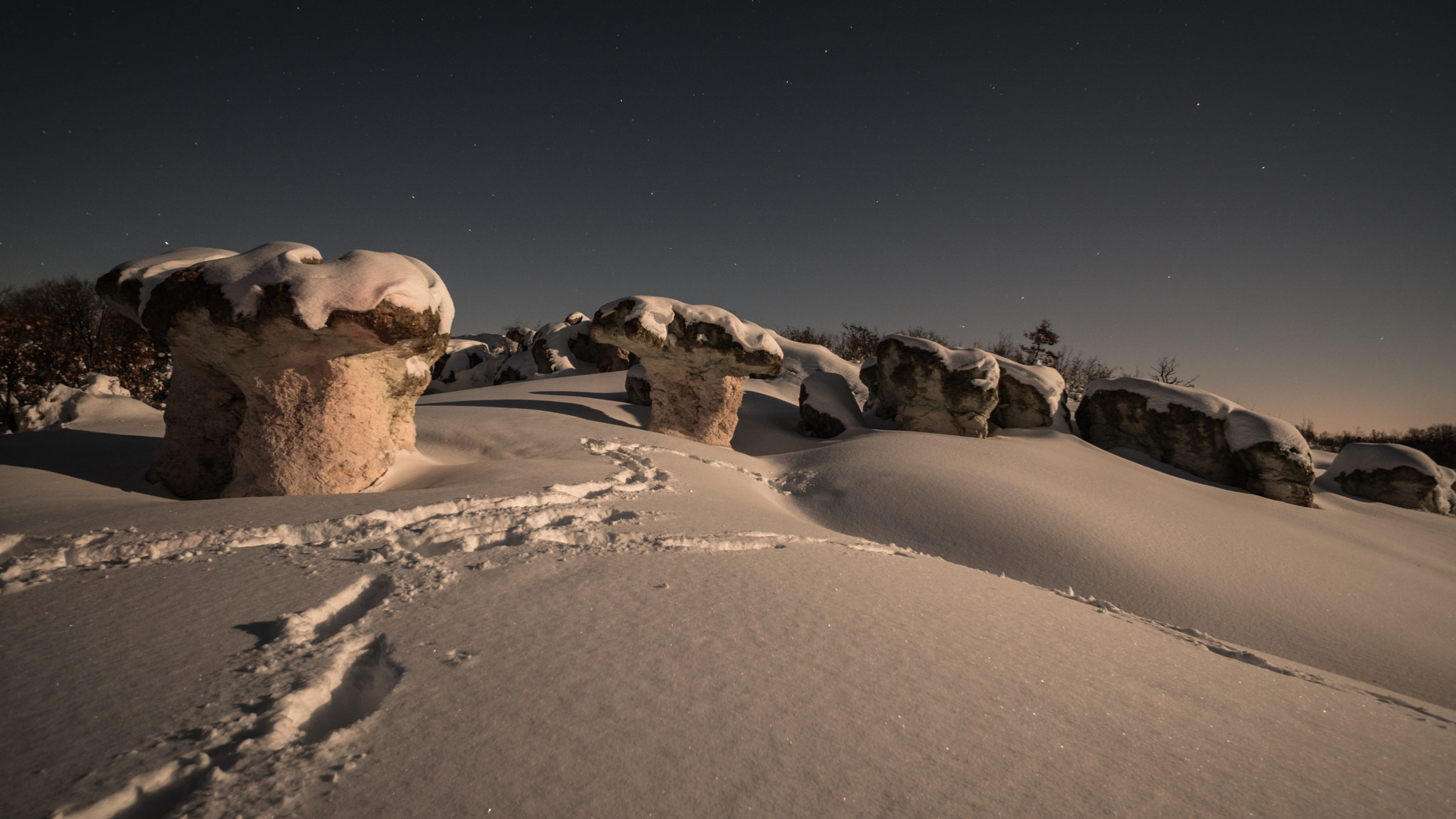 ZEISS Touit 12mm F2.8 sample photo. Road of dreams photography