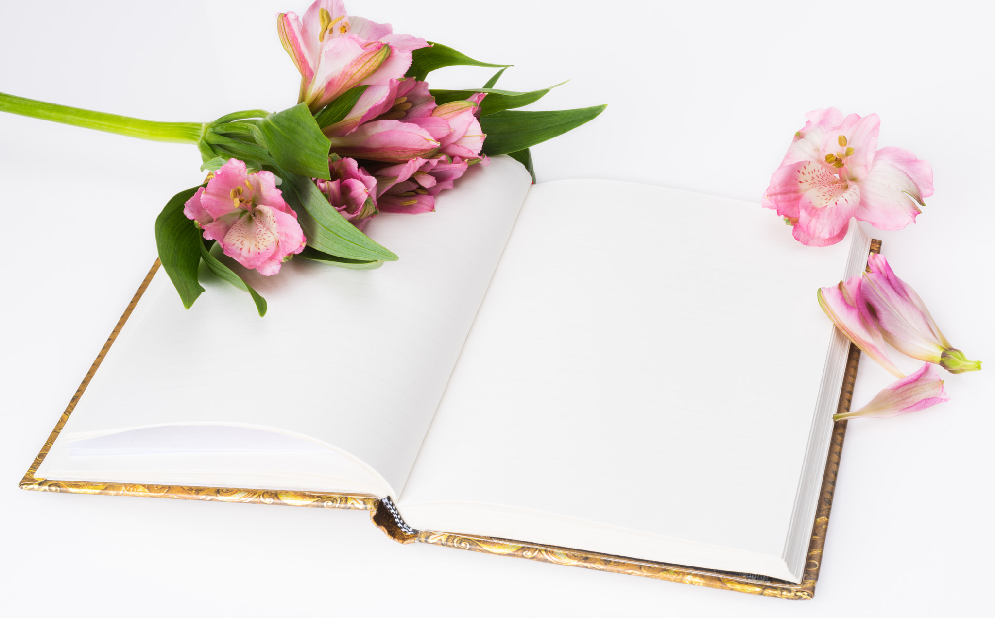 Nikon D810 sample photo. Valentines day, mothers day composition. love diary and fresh spring flowers. white background... photography