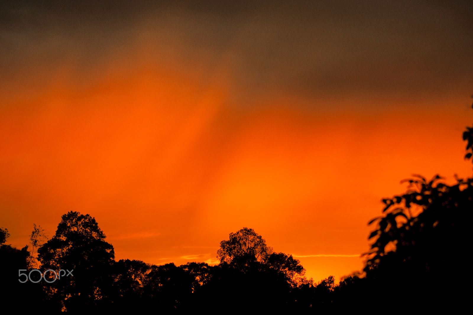 Sony SLT-A77 + Sigma 30mm F1.4 EX DC HSM sample photo. Isaan sunset photography