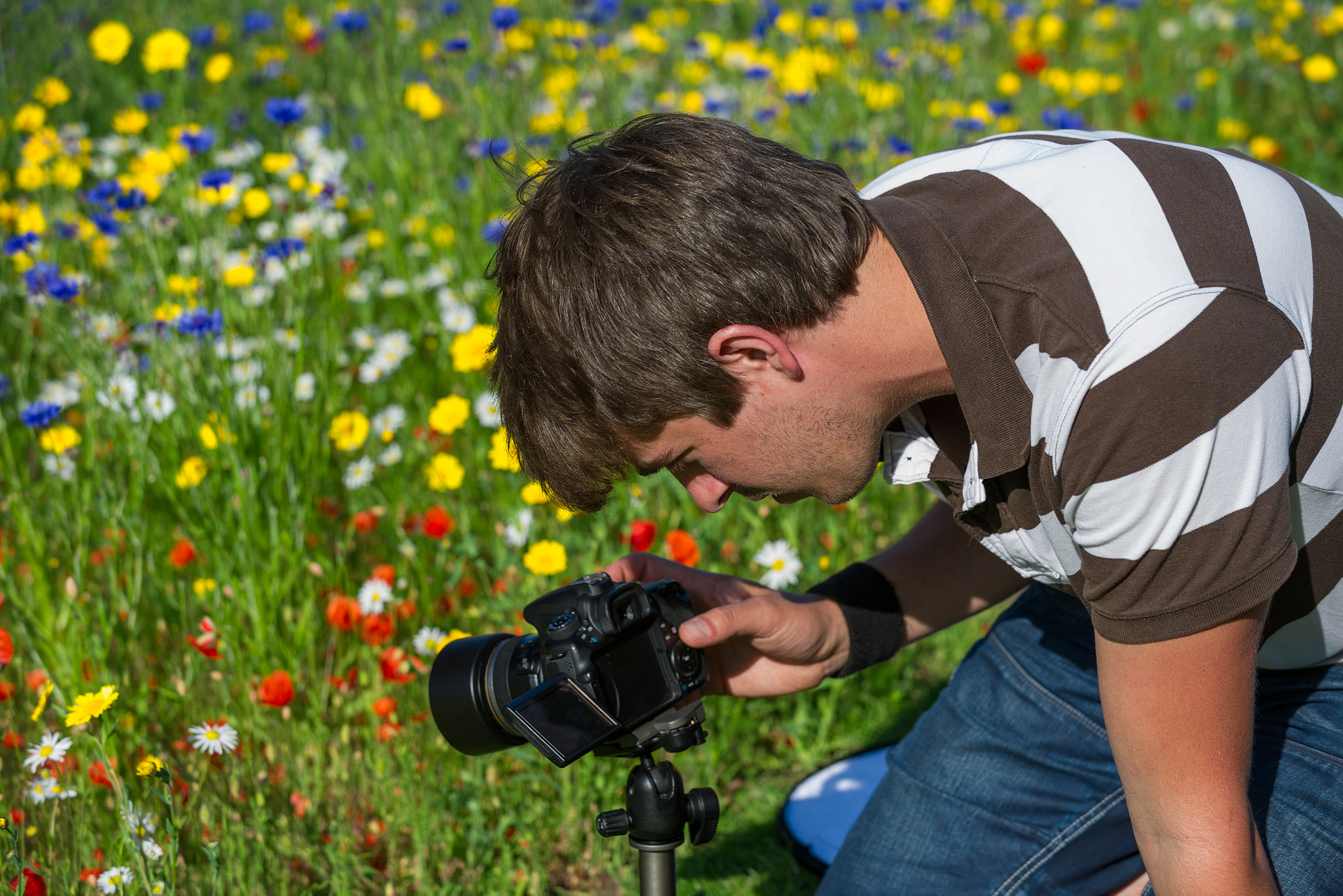 Nikon D3S sample photo. Young handsome caucasian photographer/videographer in botanic ga photography