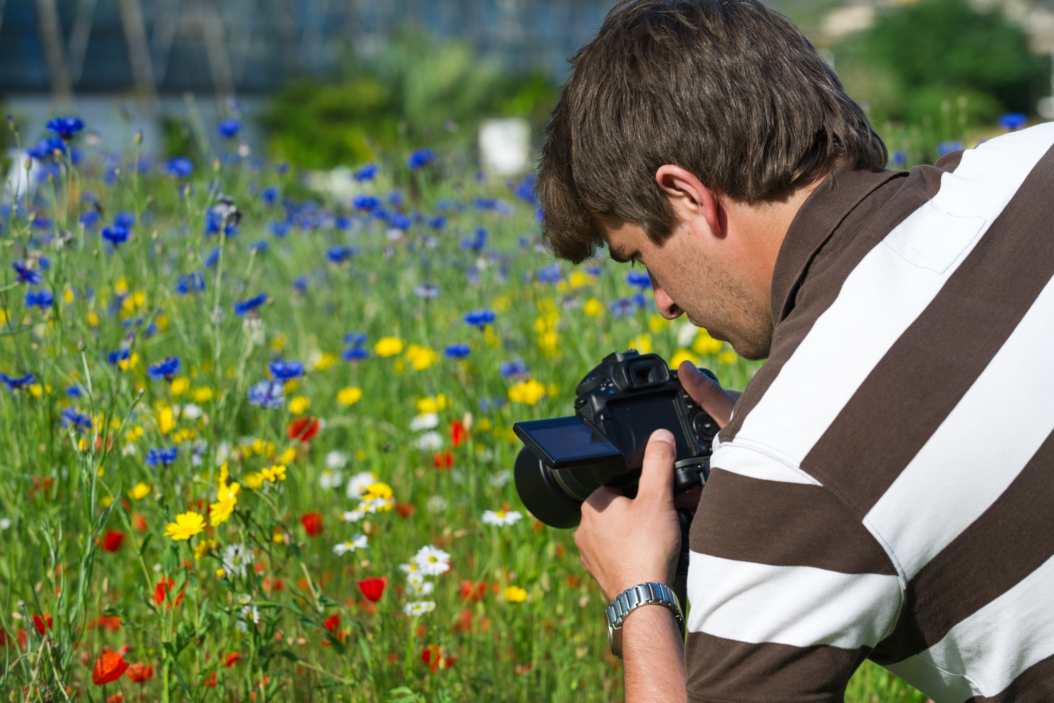 Nikon D3S sample photo. Young handsome caucasian photographer/videographer in botanic ga photography