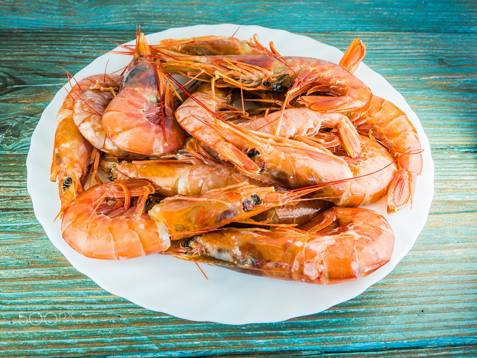 LUMIX G 20/F1.7 II sample photo. King prawns photography