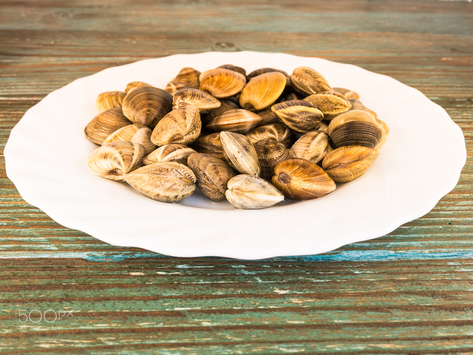 Panasonic Lumix DMC-GX7 + LUMIX G 20/F1.7 II sample photo. Clams on a white plate photography