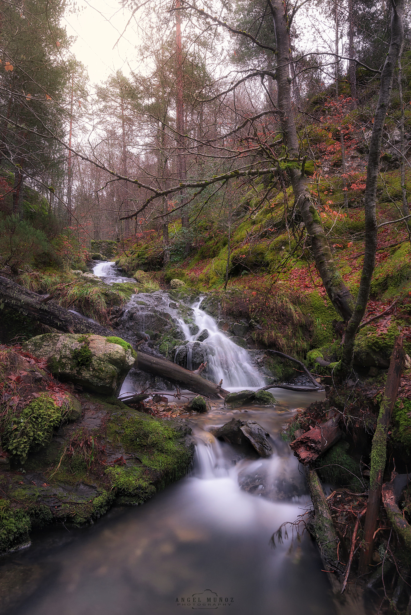 Sigma 10-20mm F4-5.6 EX DC HSM sample photo. Fairy tale photography