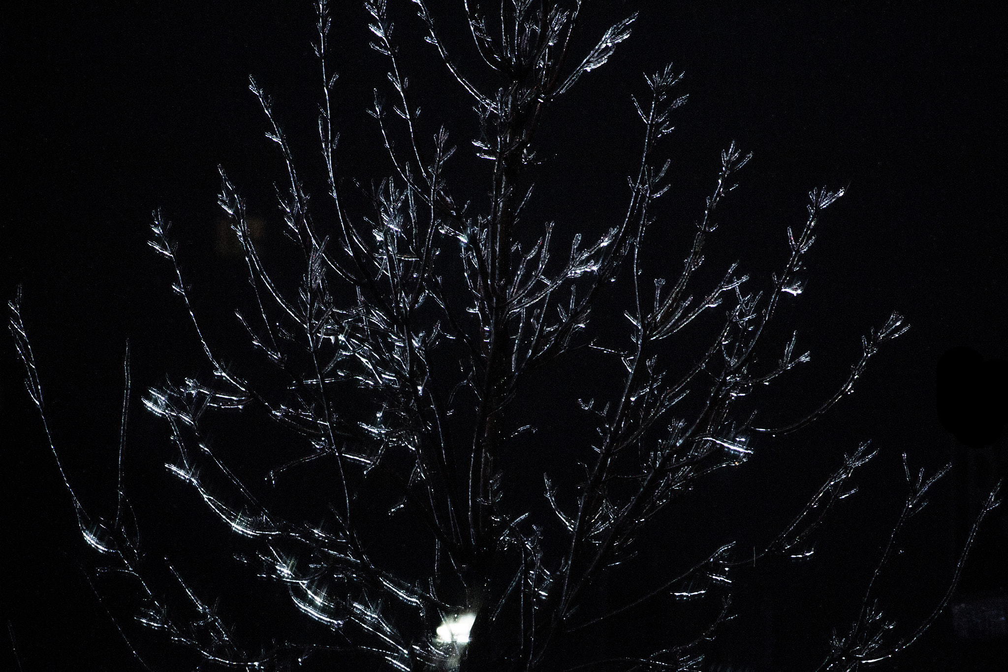 Canon EF-S 55-250mm F4-5.6 IS II sample photo. The big freeze photography