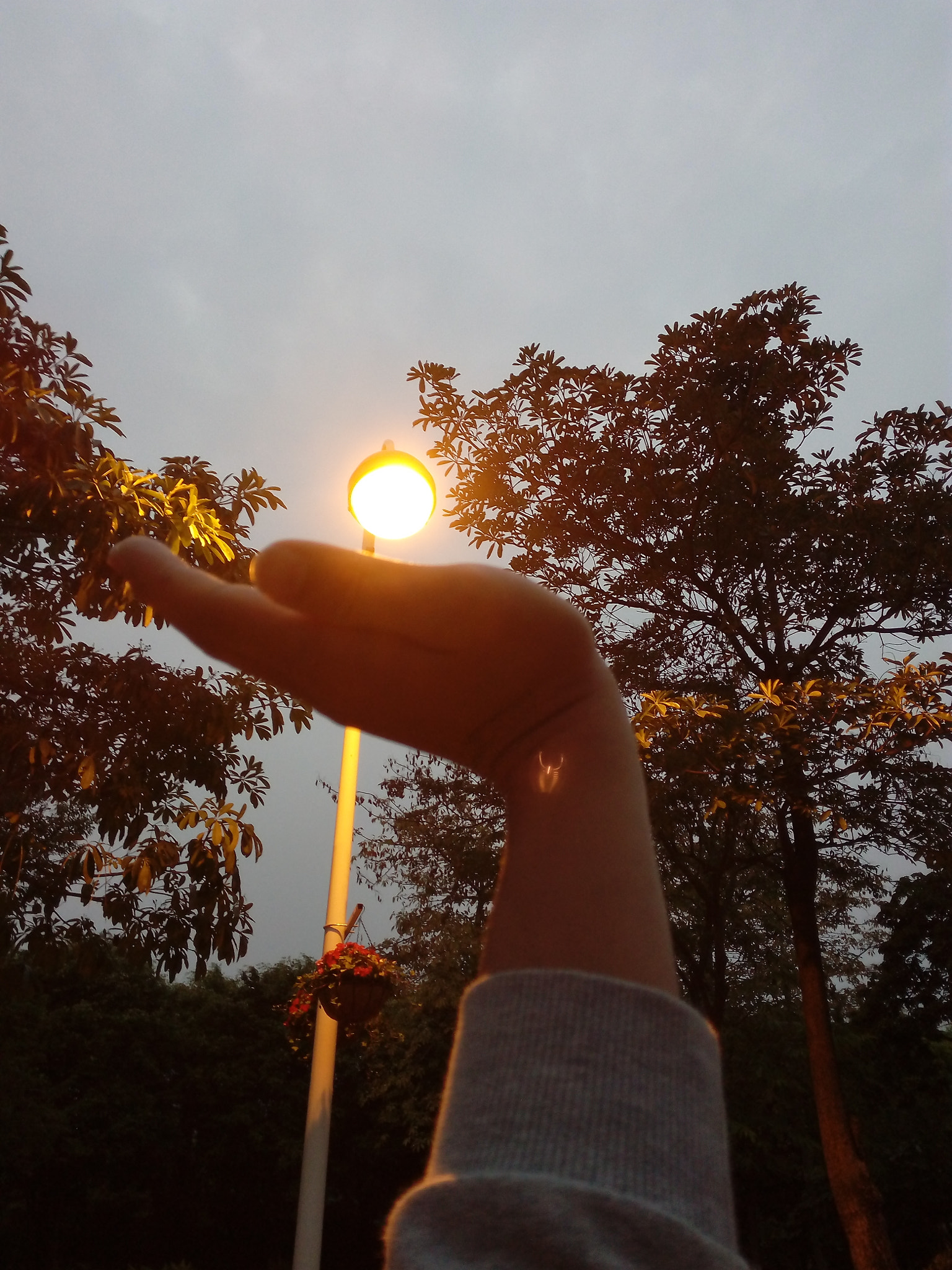 HUAWEI TANGO sample photo