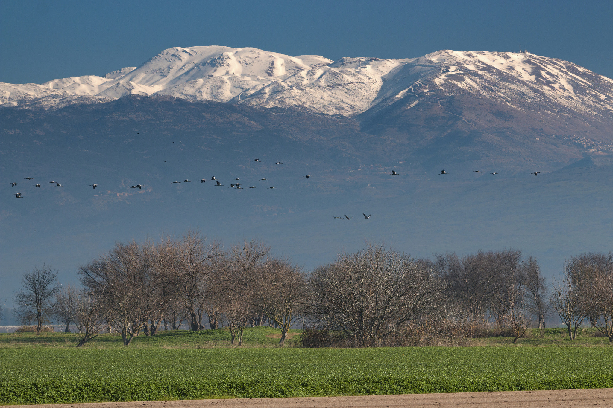 Canon EF 70-200mm F2.8L USM sample photo
