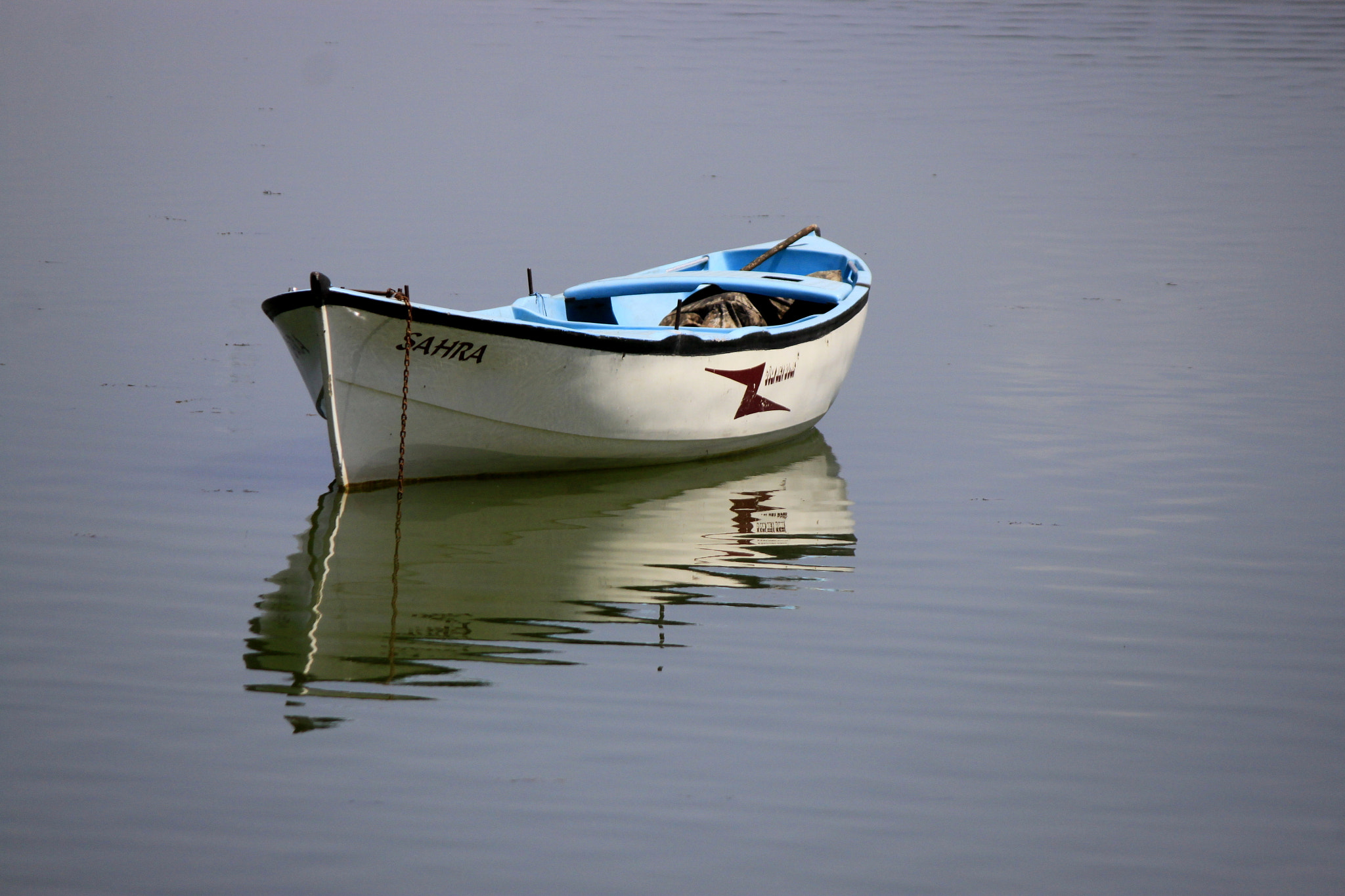 Canon EF-S 55-250mm F4-5.6 IS sample photo