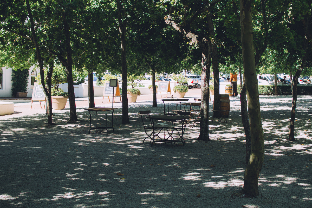 Olympus PEN E-PL5 sample photo. 28. impossible contrast photography
