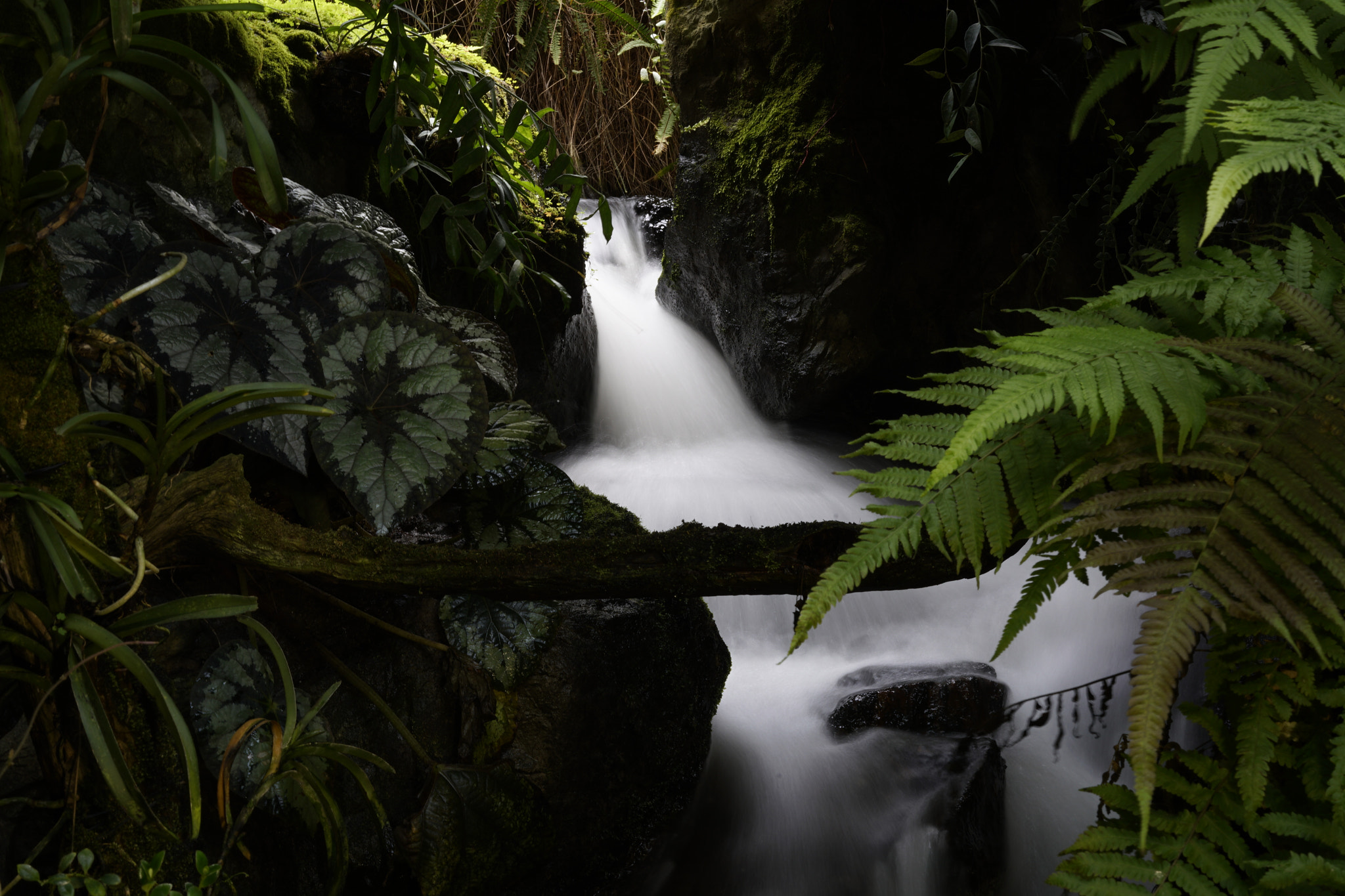 Sony a7R II + Sony Sonnar T* FE 55mm F1.8 ZA sample photo. Secret waterfall photography