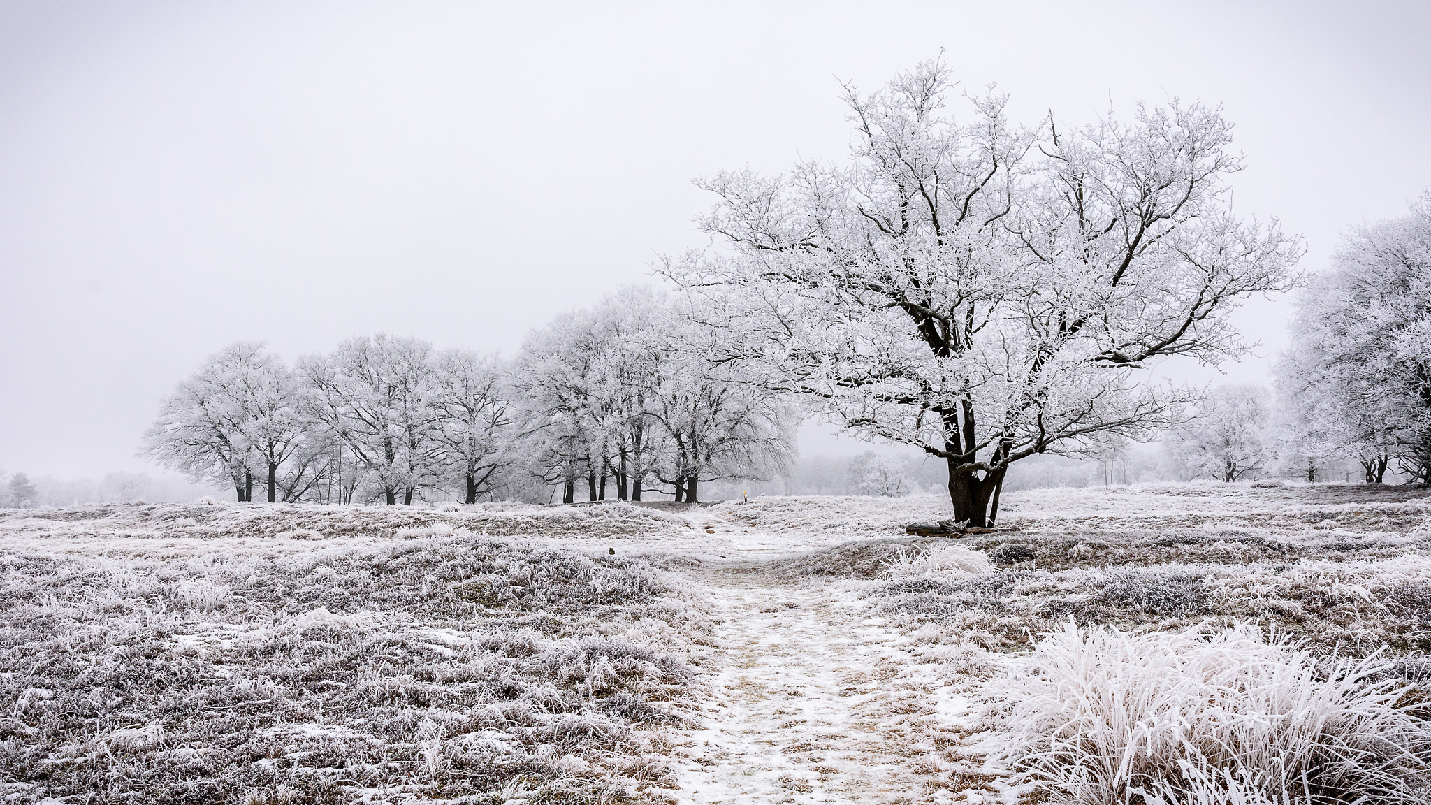 Nikon D7200 sample photo. Wintertime 2 photography