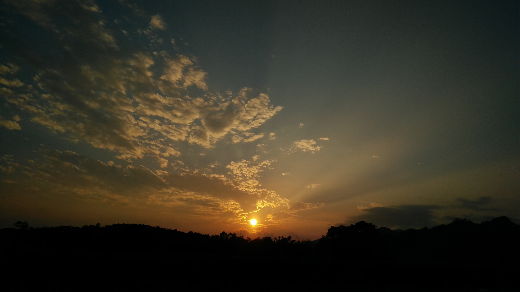 OnePlus ONE E1003 sample photo