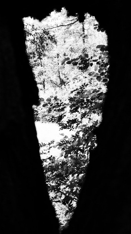 Panasonic Lumix DMC-G6 sample photo. Through the trees photography