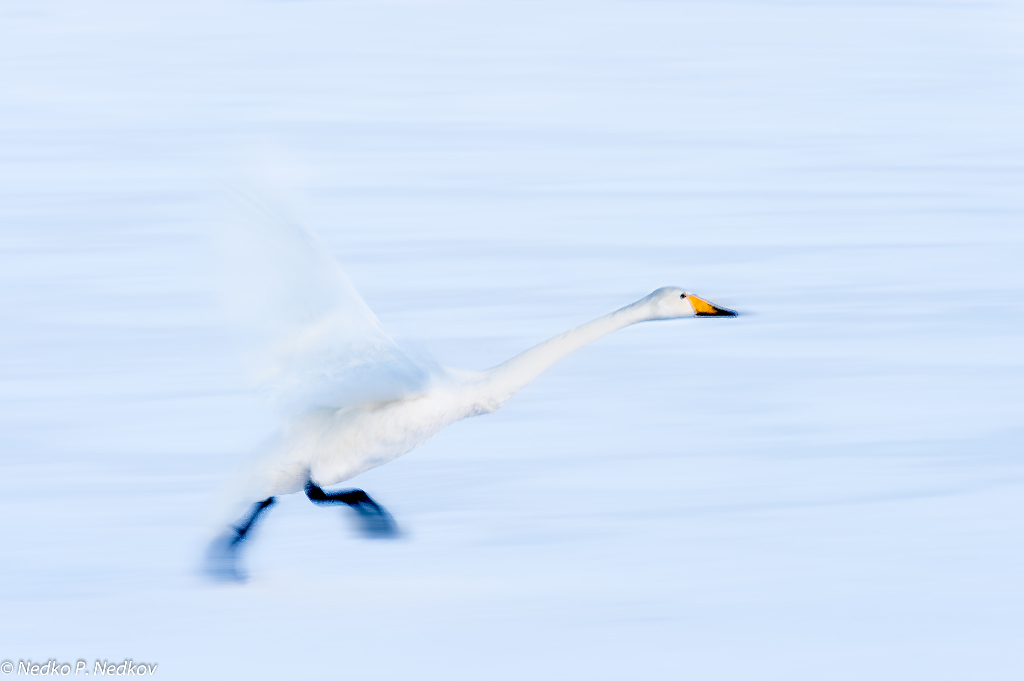 Nikon D4S sample photo. Take off photography