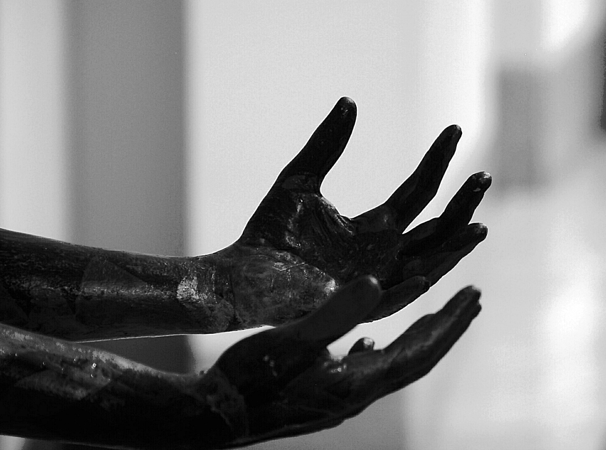 Nikon D50 sample photo. Have mercy...  photography
