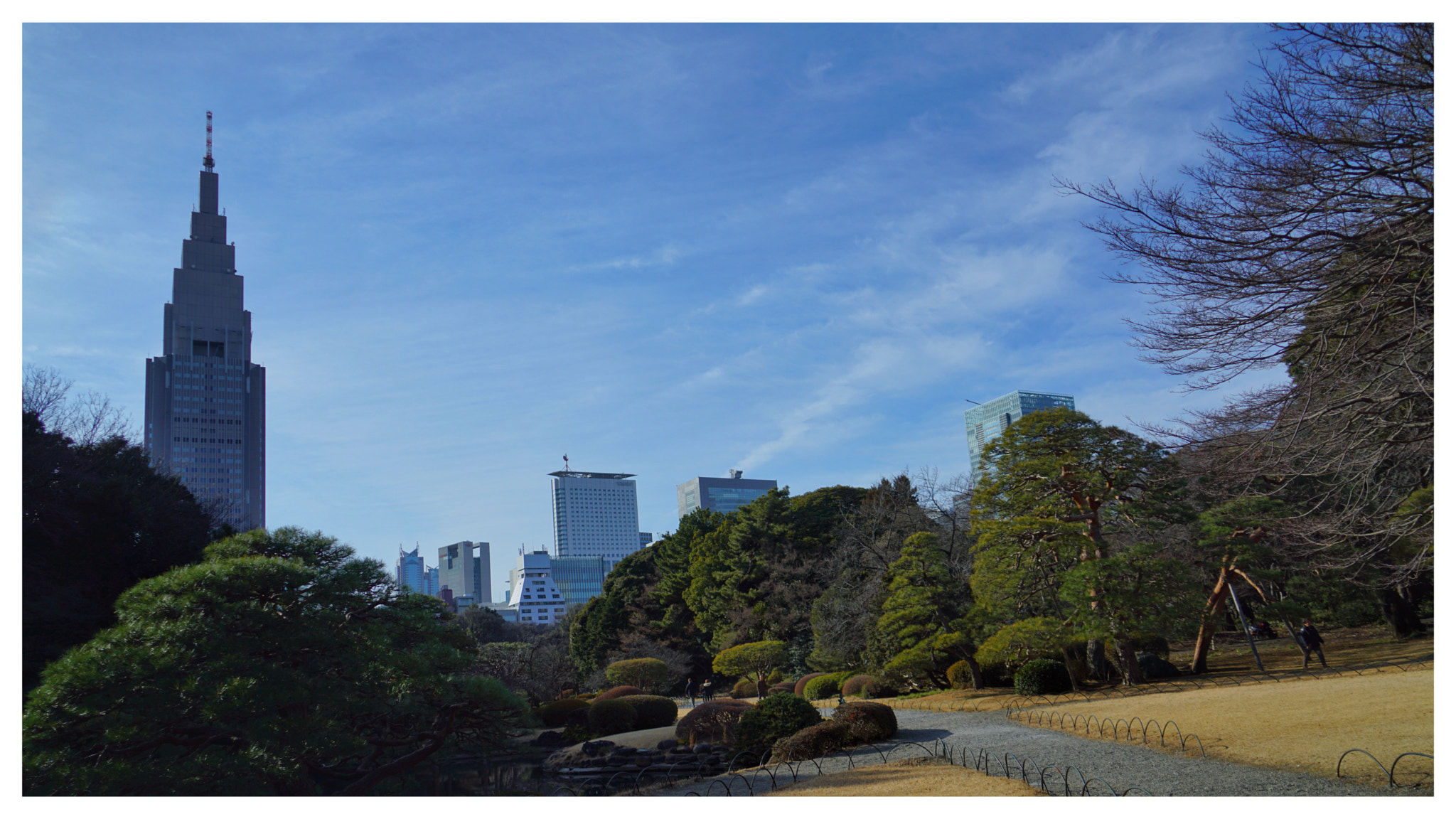 Sony FE 24-240mm F3.5-6.3 OSS sample photo