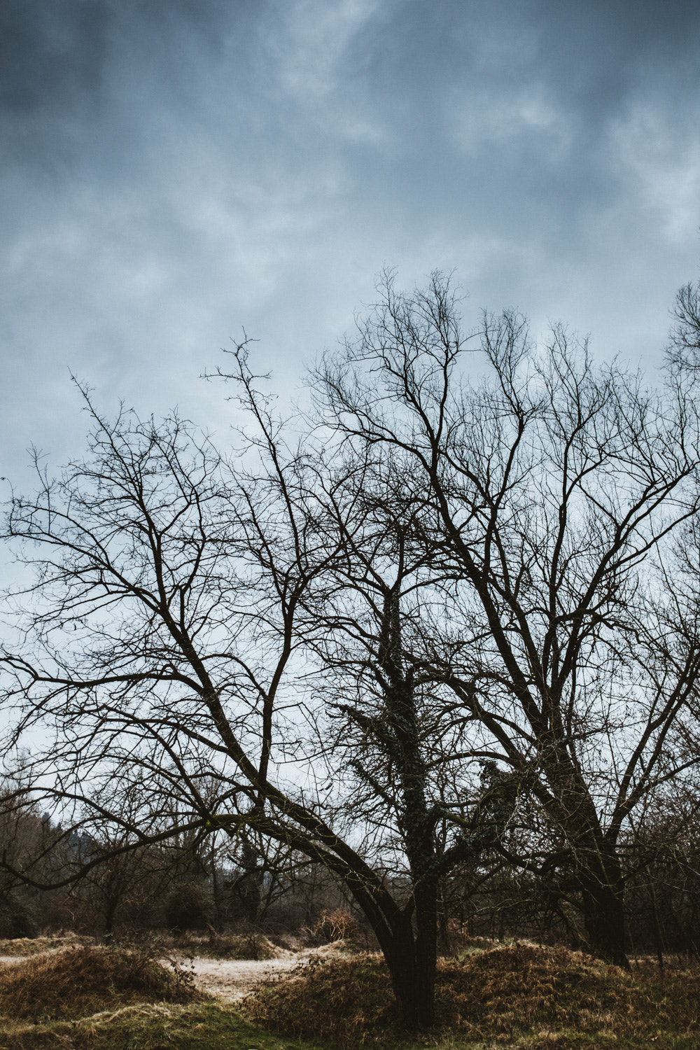 Fujifilm X-Pro2 + Fujifilm XF 18mm F2 R sample photo. Valleolona photography