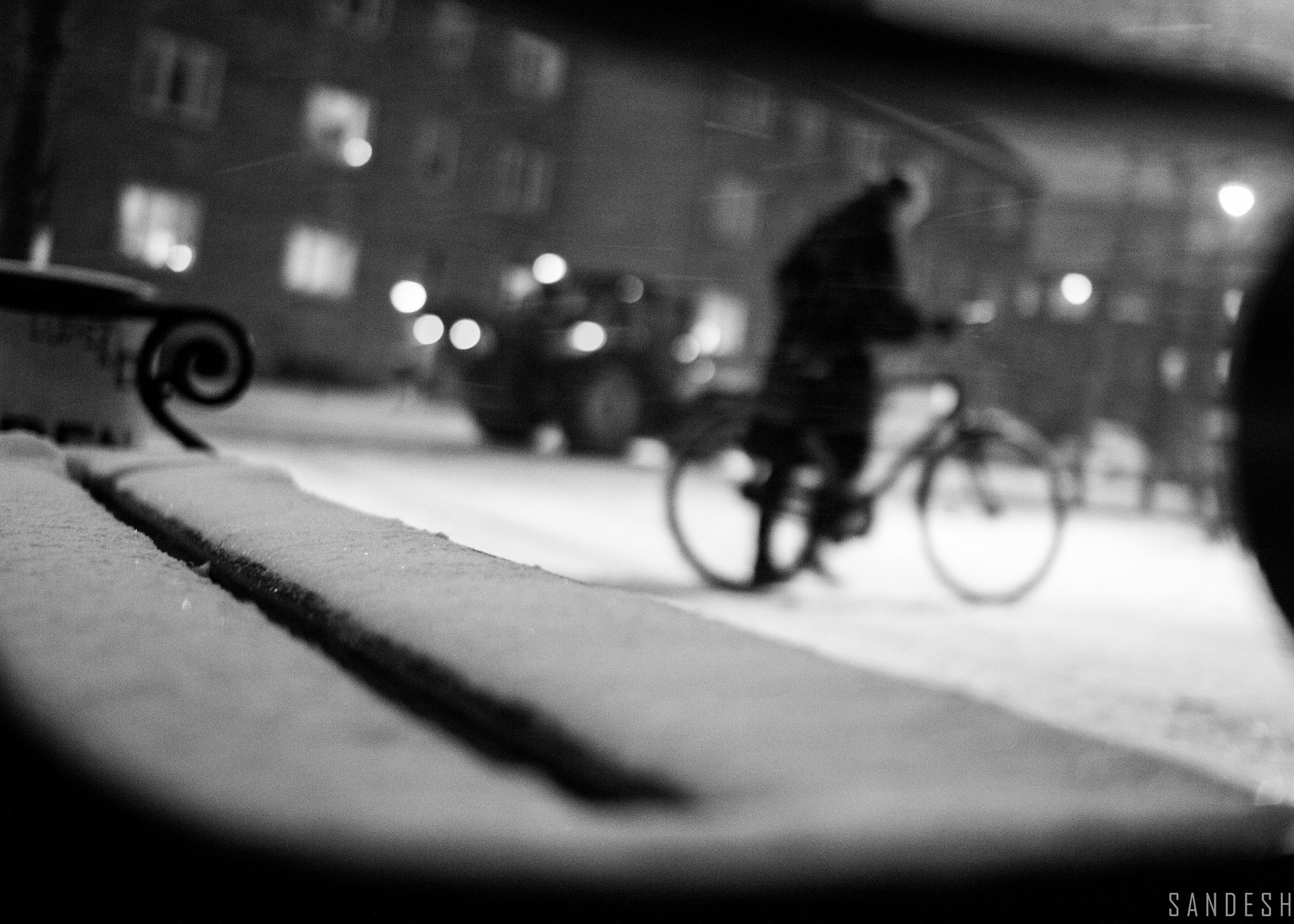 Sigma 30mm F1.4 EX DC HSM sample photo. Touch of snow photography