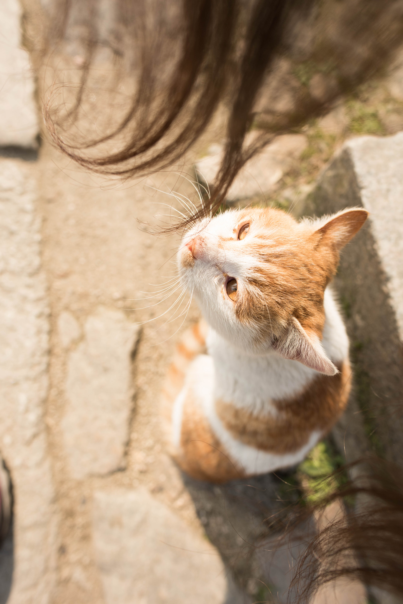 Nikon D810 + Nikon AF-S Nikkor 24mm F1.8G ED sample photo