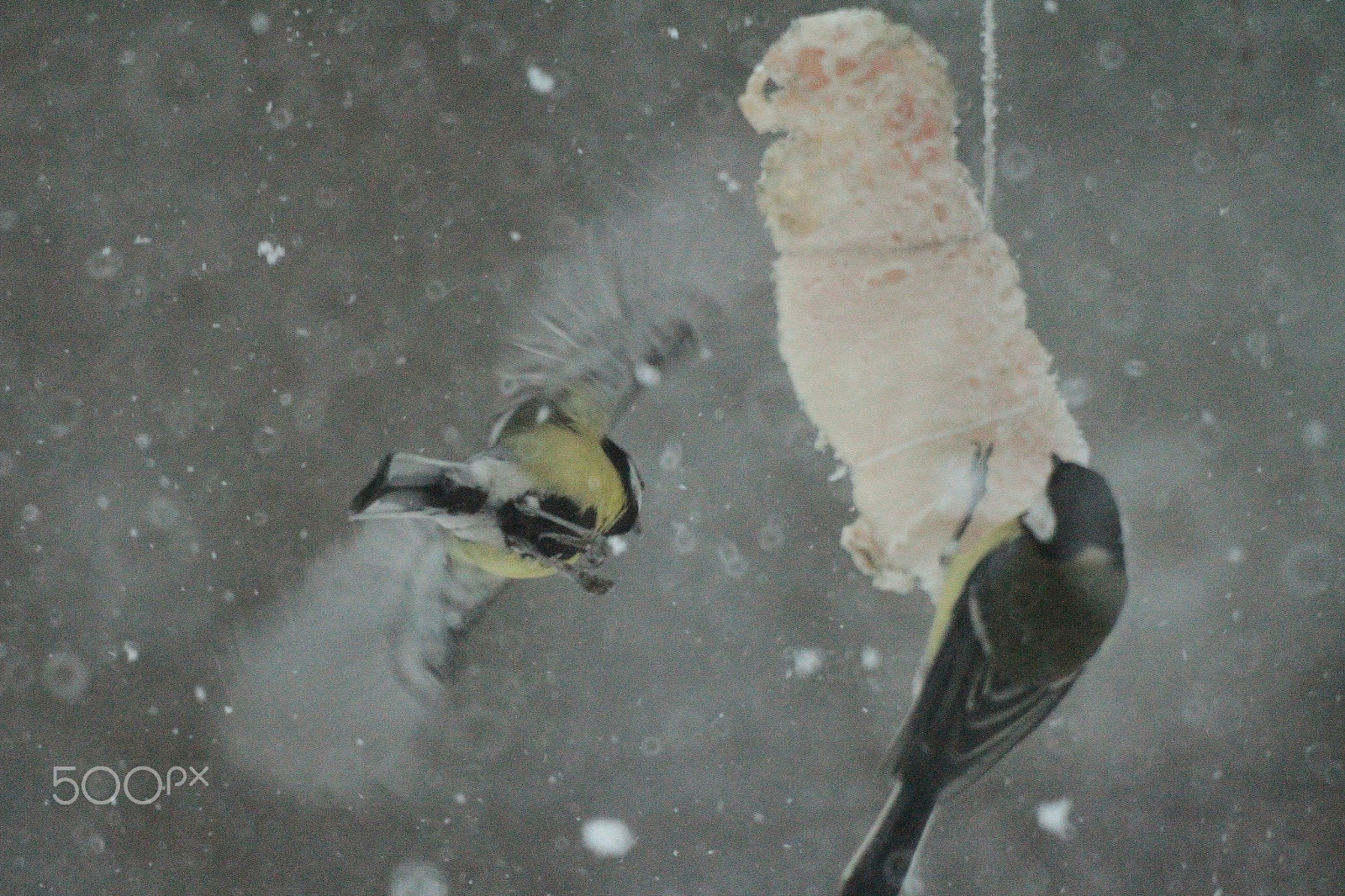 Canon EF 35-80mm f/4-5.6 sample photo. Snow-flurry photography