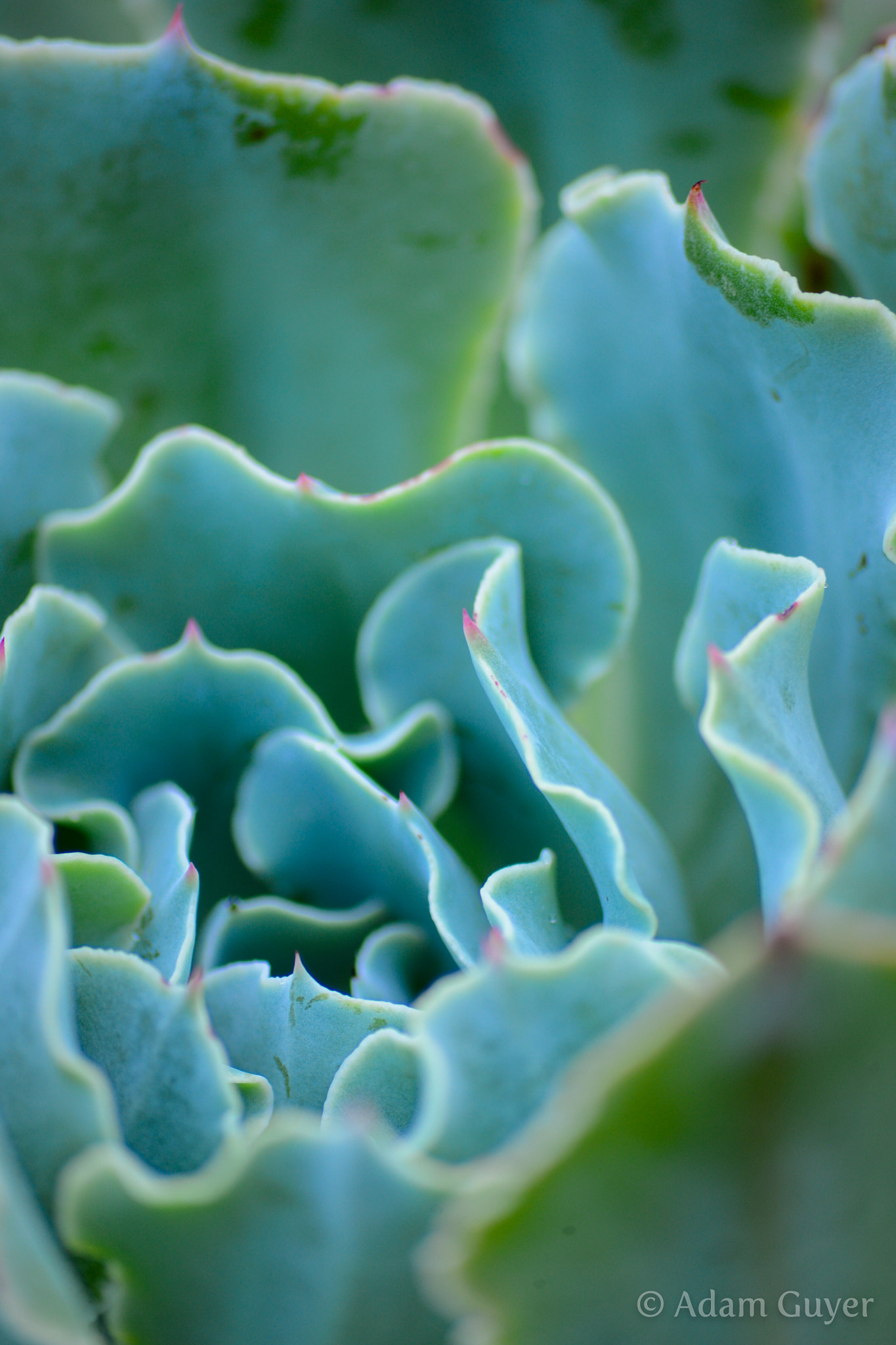 Sigma 70-300mm F4-5.6 APO DG Macro sample photo. Ripples of aquamarine photography