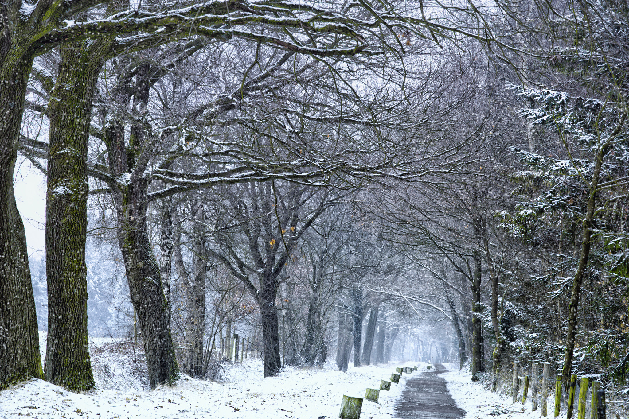 Canon EOS-1Ds Mark II sample photo. Winter scene photography