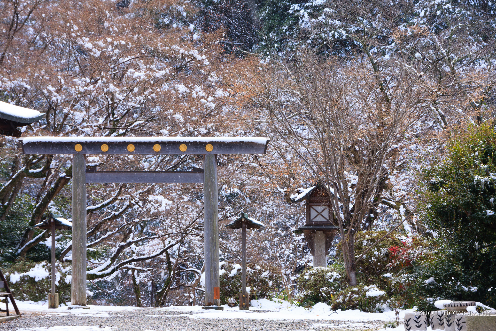 Canon EOS 40D + Tamron AF 18-270mm F3.5-6.3 Di II VC LD Aspherical (IF) MACRO sample photo. Snowy kyoto photography