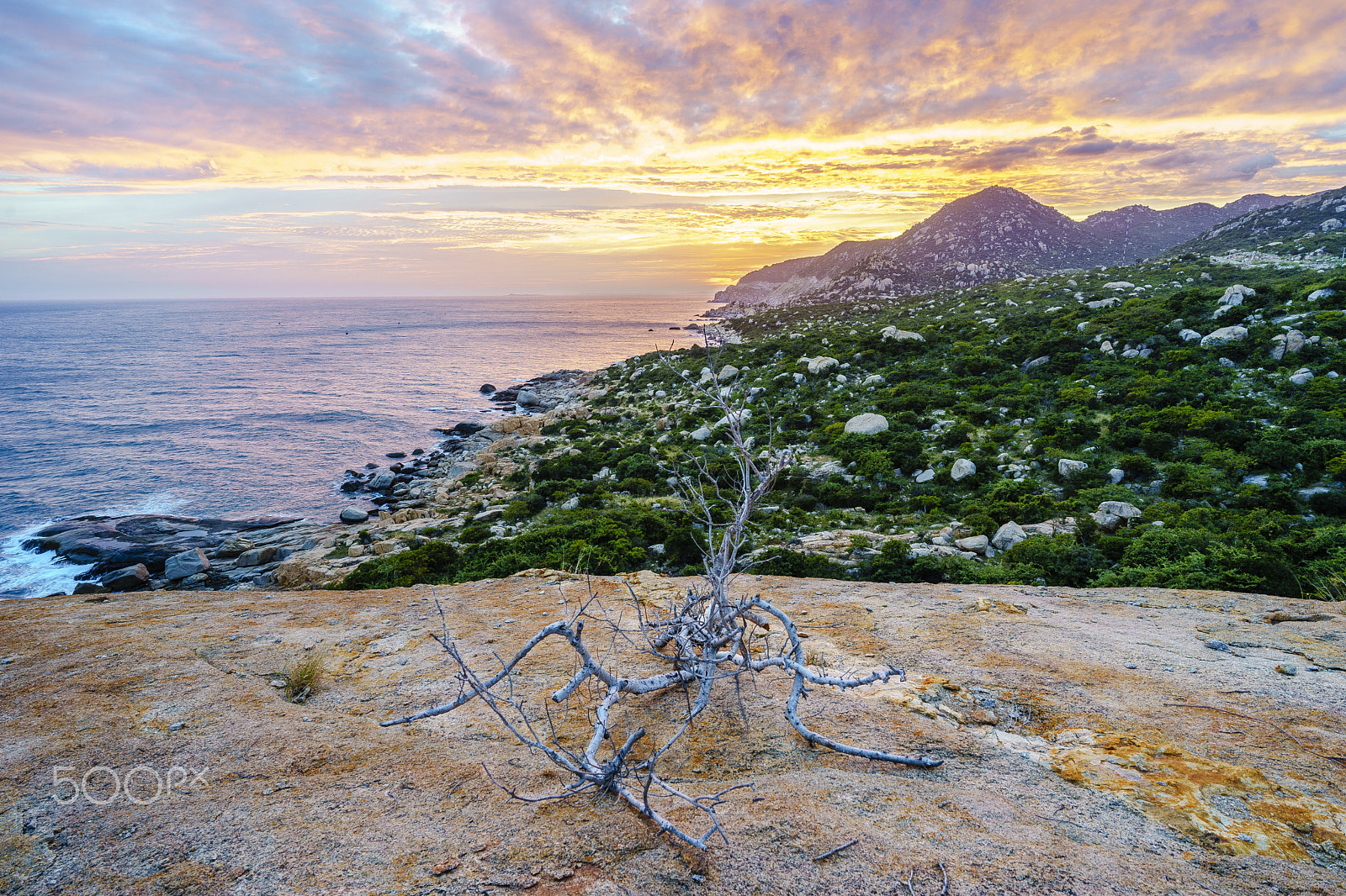 Sony a7 II + ZEISS Batis 18mm F2.8 sample photo. Golden sky photography