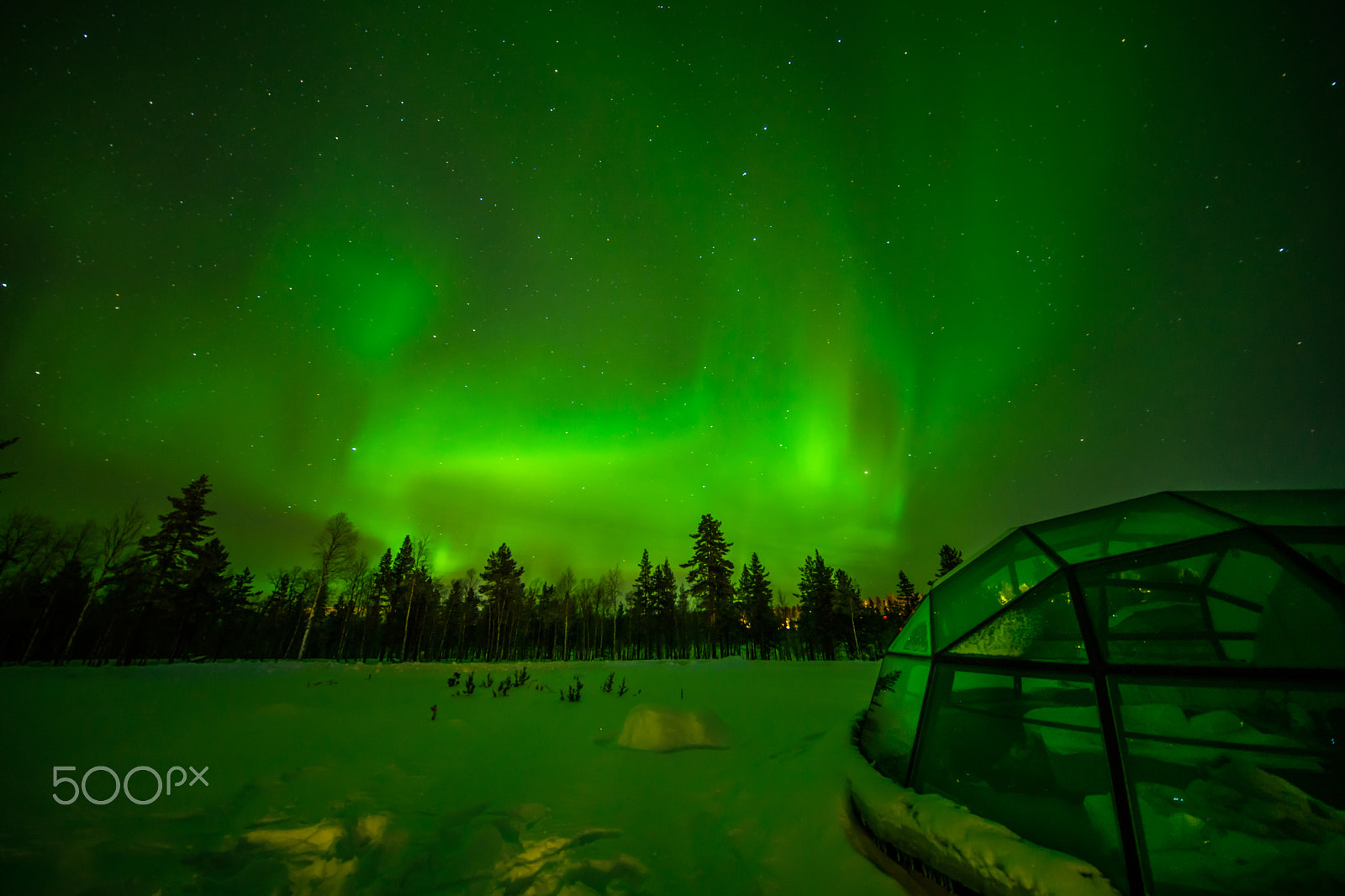 Sony a7 II + Canon EF 11-24mm F4L USM sample photo. Northern lights at glass igloo finland photography