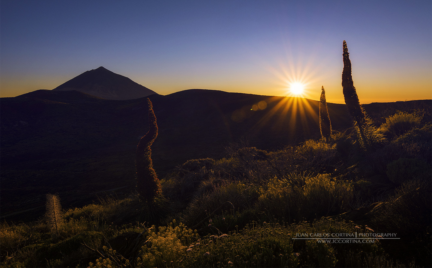 Tokina AT-X Pro 11-16mm F2.8 DX sample photo. Ocaso de tajinastes photography