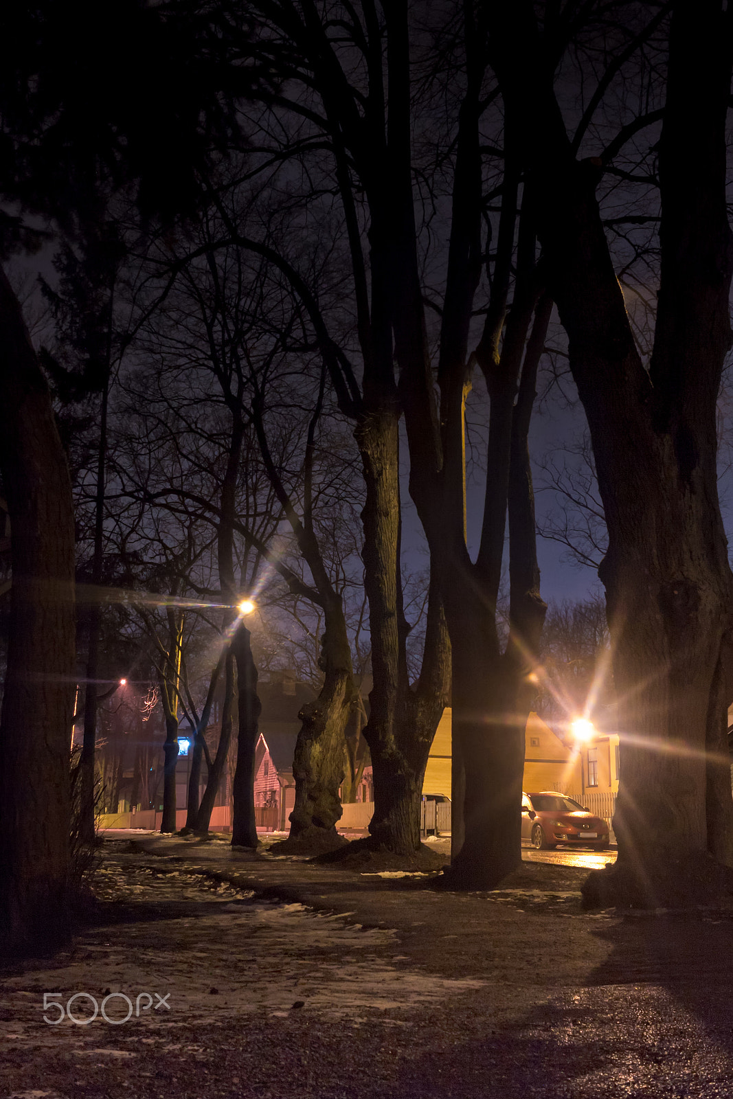 Canon EF-S 24mm F2.8 STM sample photo. Path between the trees photography