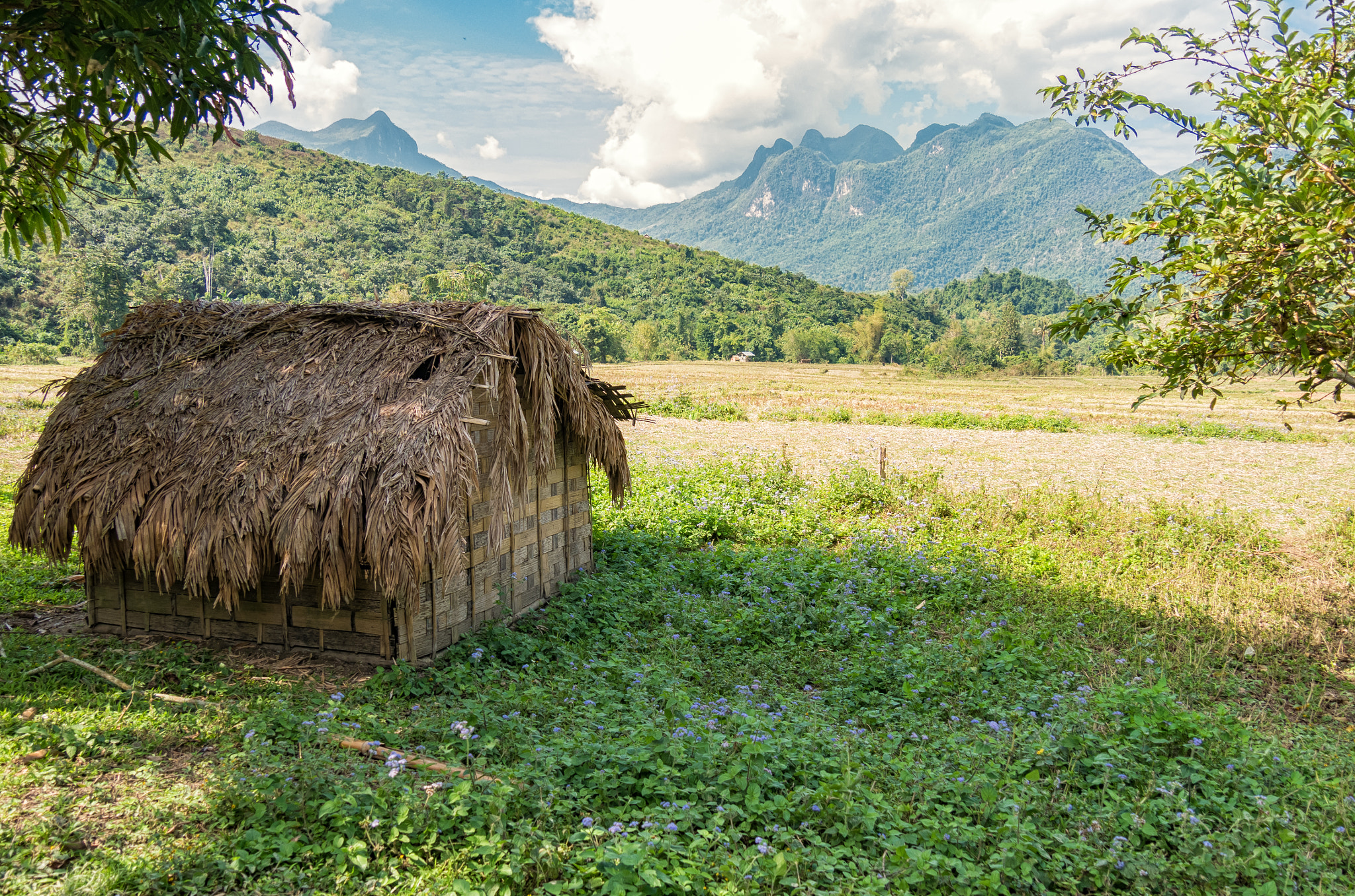 Panasonic Lumix DMC-G7 sample photo. Rural laos photography