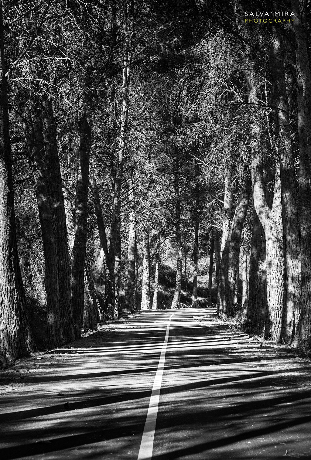 Sony a7 II + Canon EF 24-70mm F2.8L USM sample photo. Carretera del pantà de guadalest photography