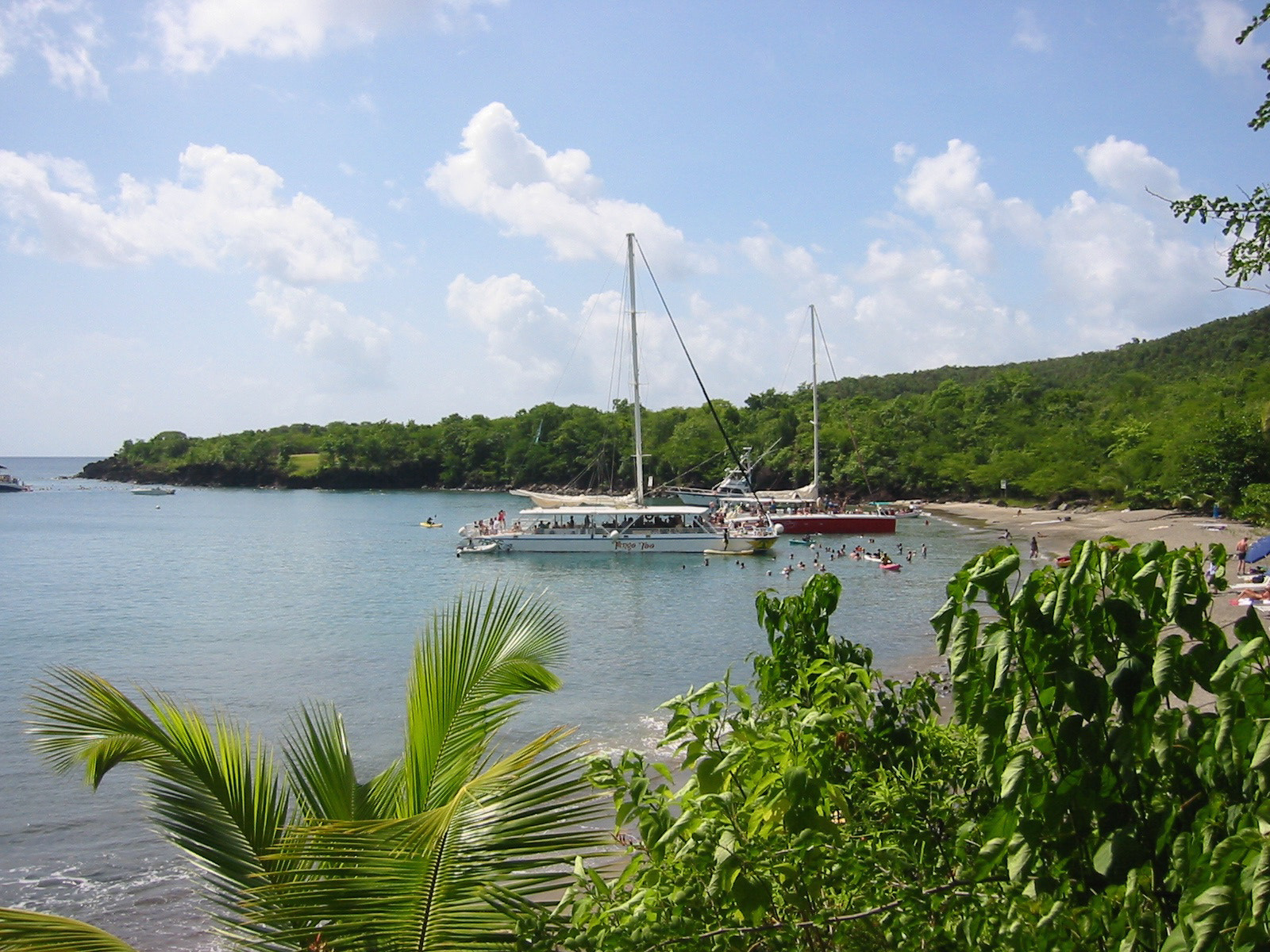 Canon PowerShot S200 sample photo. Party boats photography