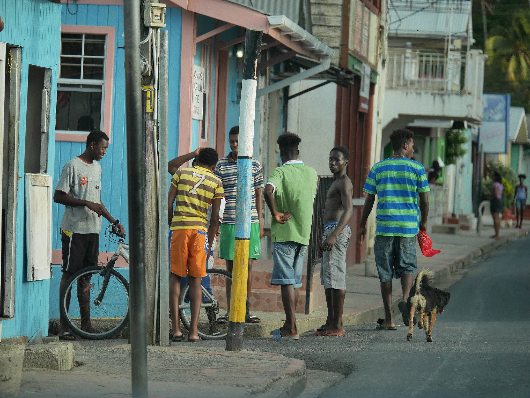 Panasonic Lumix DMC-GX7 + Panasonic Lumix G X Vario 35-100mm F2.8 OIS sample photo. The streets of anse la raye photography