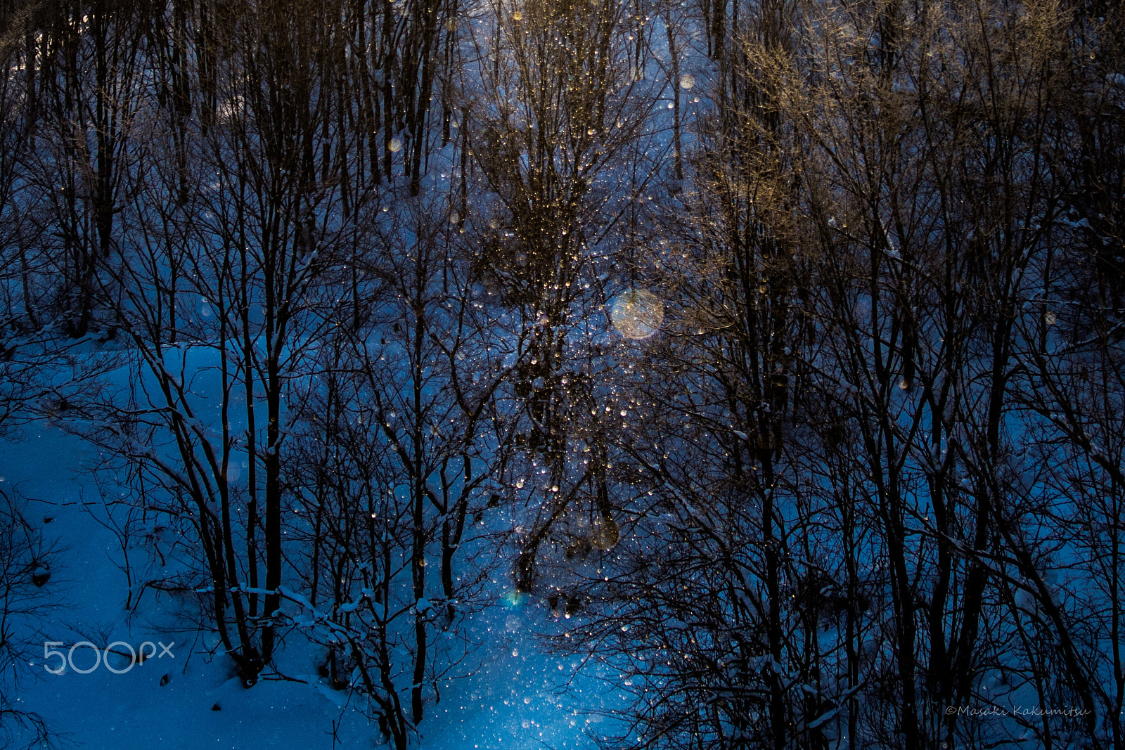 Canon EF 70-200mm F4L IS USM sample photo. My love photography