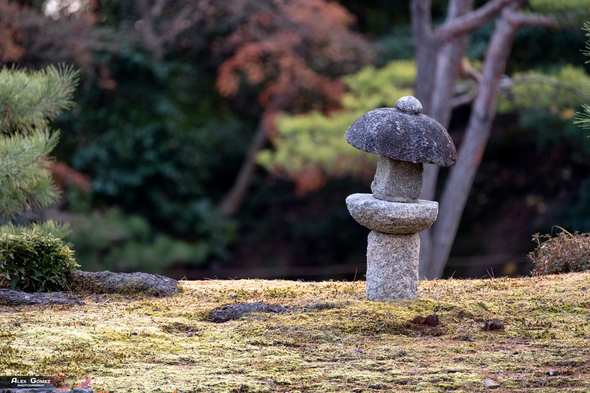 Fujifilm X-Pro2 + Fujifilm XF 100-400mm F4.5-5.6 R LM OIS WR sample photo. Zen garden kinkaku-ji photography