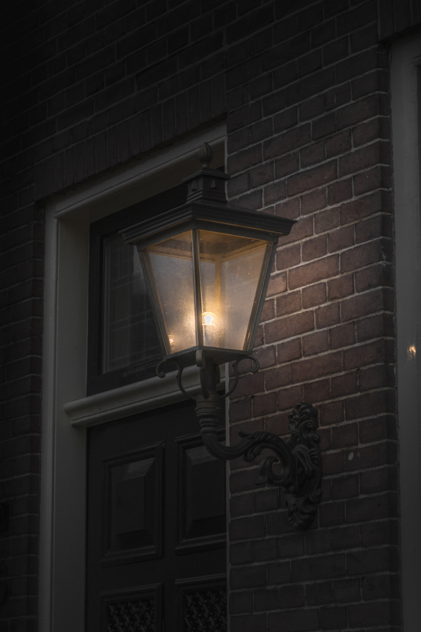 EF28-70mm f/2.8L USM sample photo. 'illuminating' - 365photos - day 40 photography