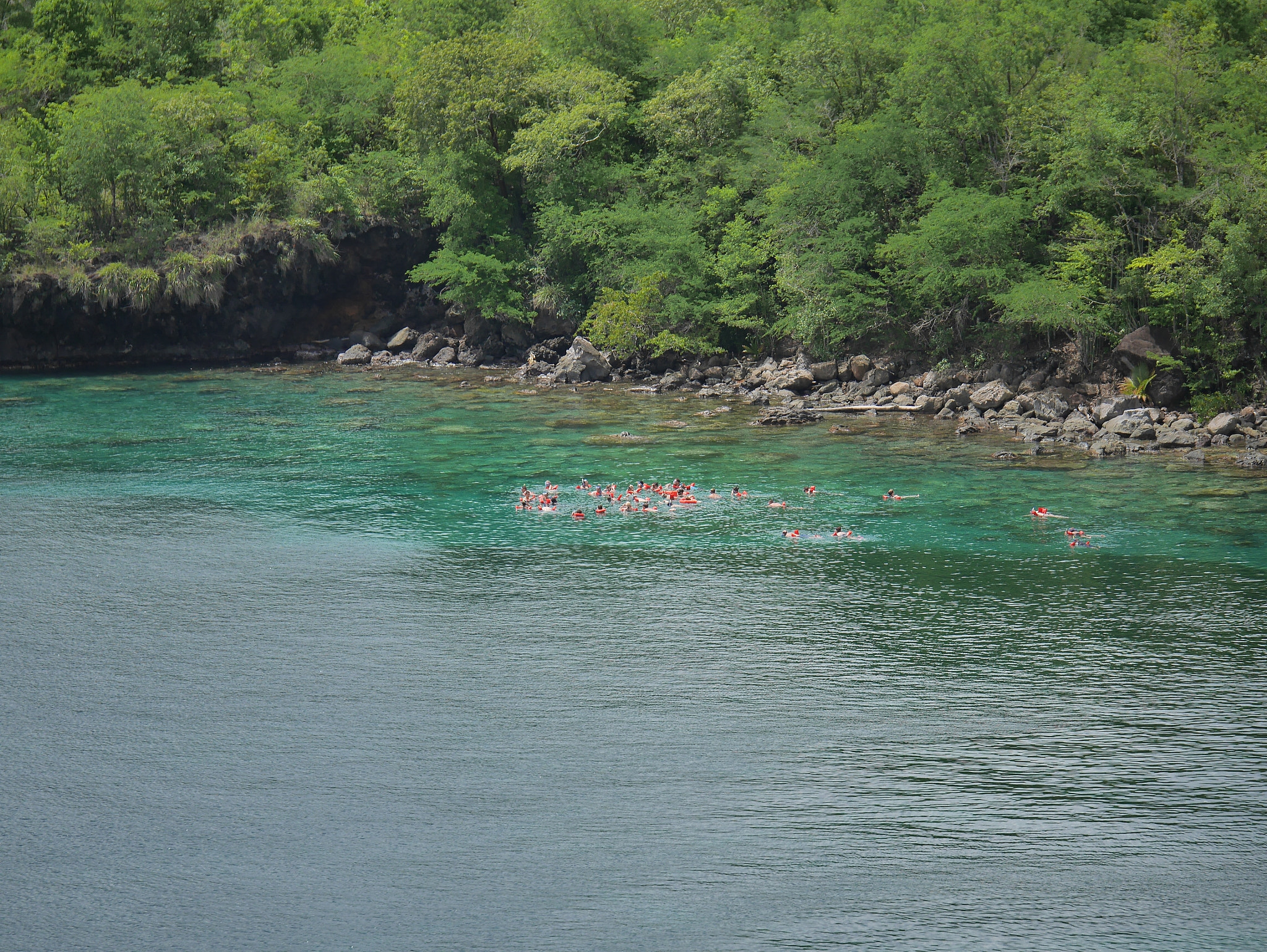 Panasonic Lumix DMC-GX7 + Panasonic Lumix G X Vario 35-100mm F2.8 OIS sample photo. Cruise tourists on a snorkeling excursion photography