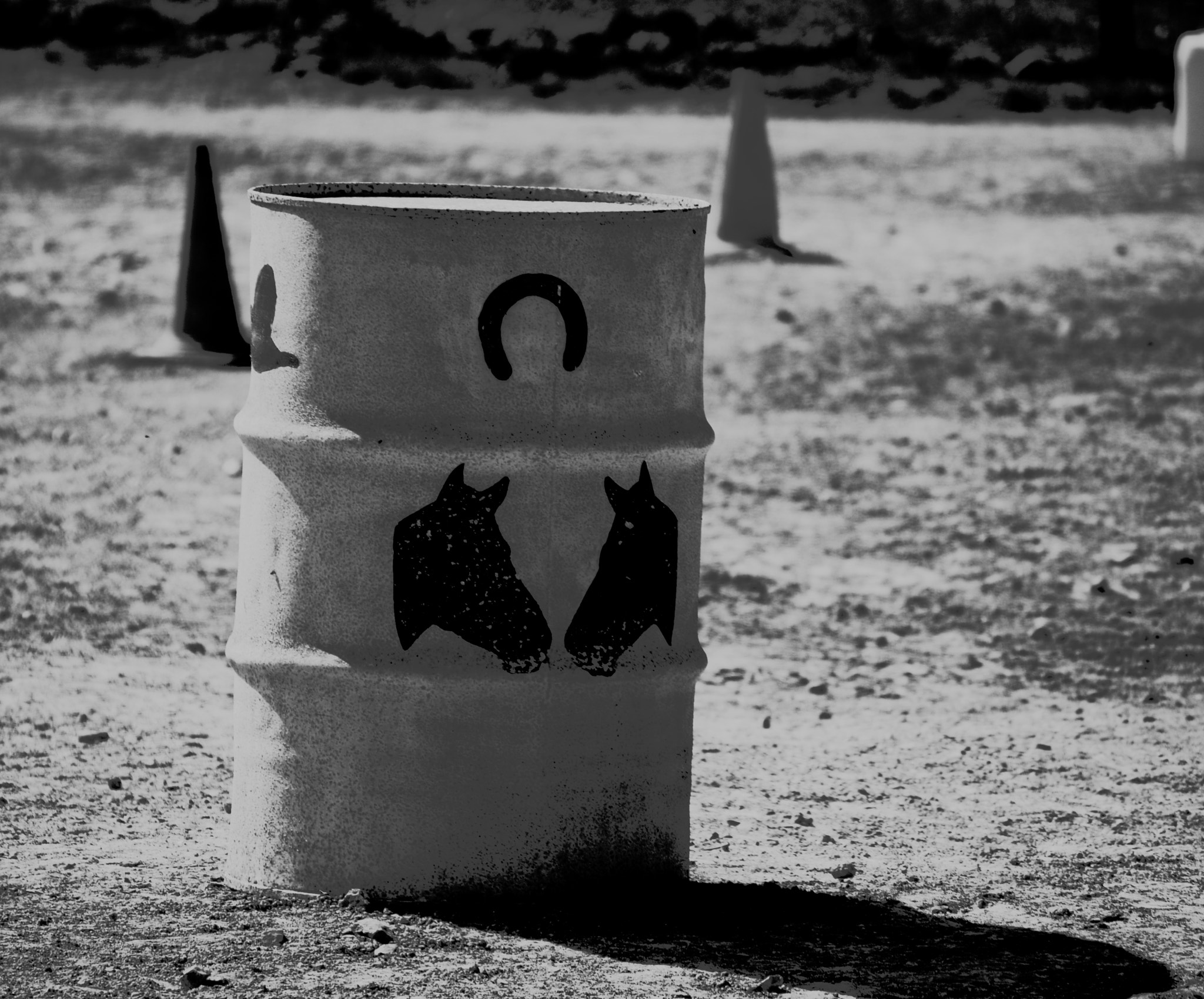 Nikon D3000 sample photo. Horsing around photography