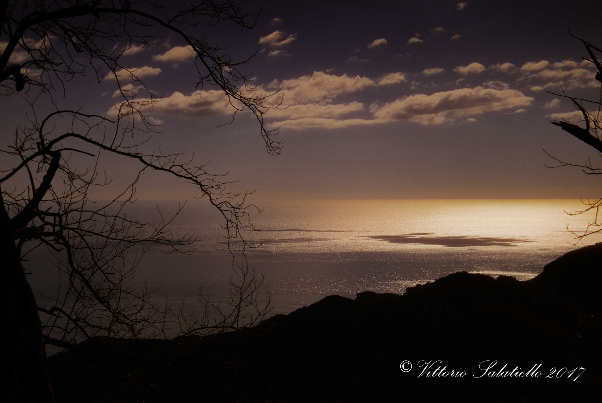 Fujifilm FinePix S2000HD sample photo. Image() photography