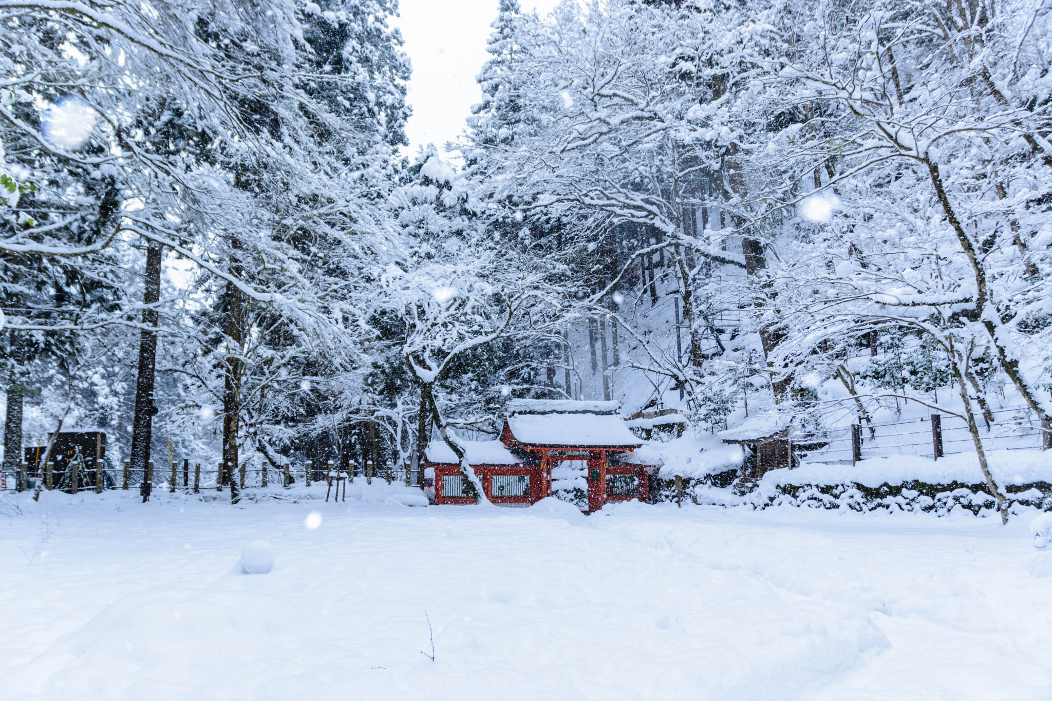 Nikon D5200 + Sigma 18-200mm F3.5-6.3 II DC OS HSM sample photo. 貴船神社奥宮 photography