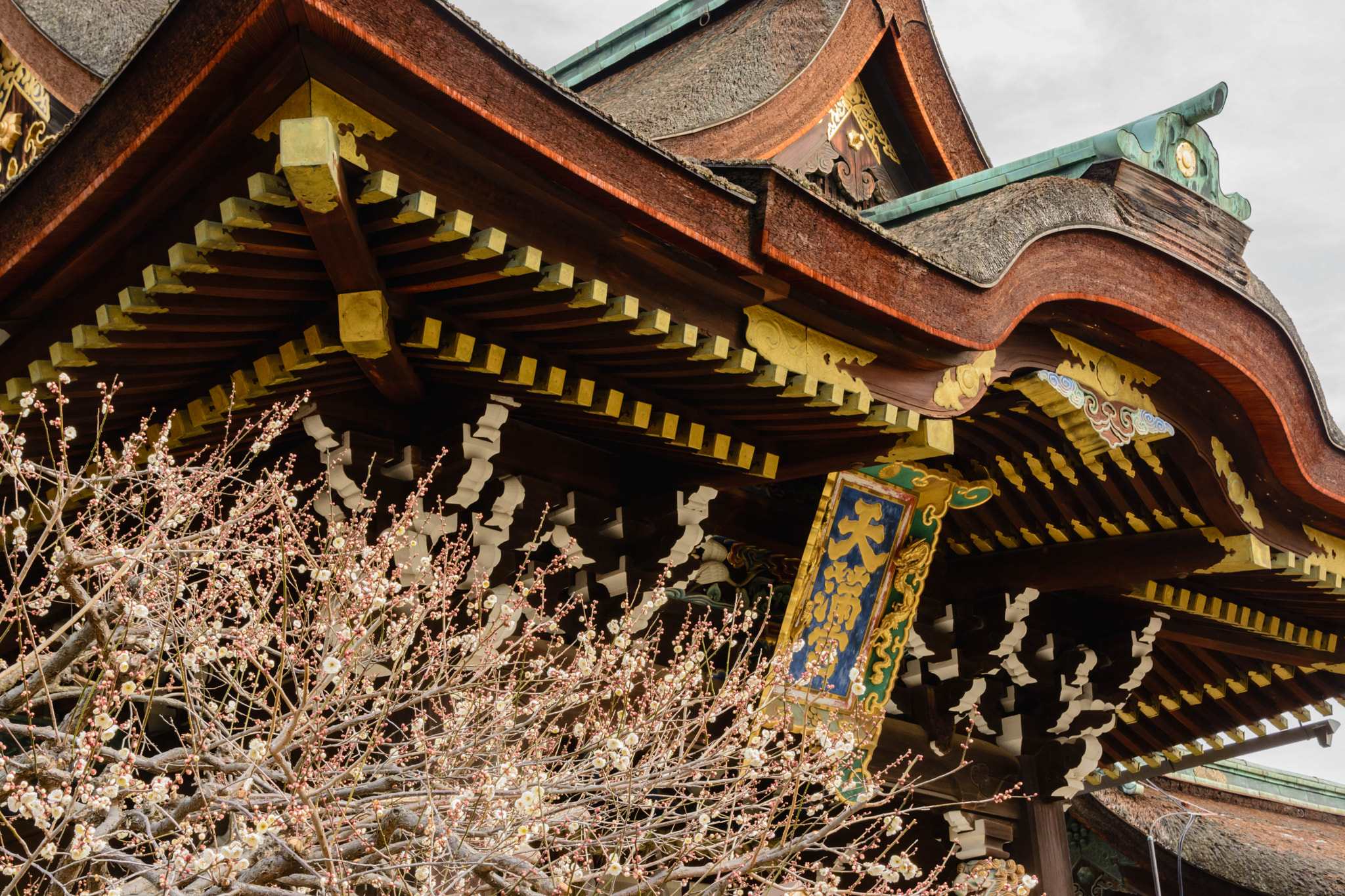 Sigma 18-200mm F3.5-6.3 II DC OS HSM sample photo. 北野天満宮 photography