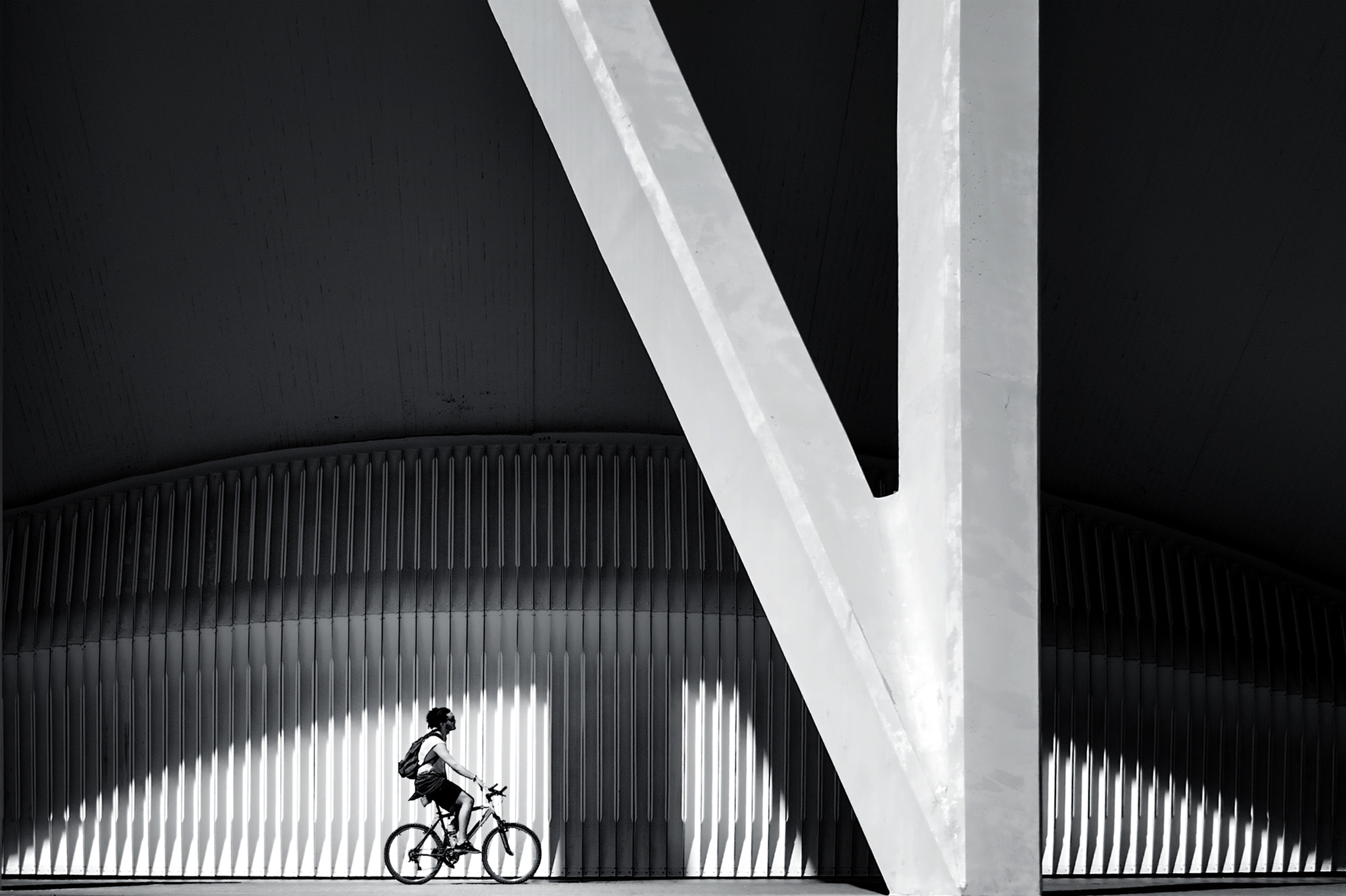 Nikon D700 sample photo. The biker photography